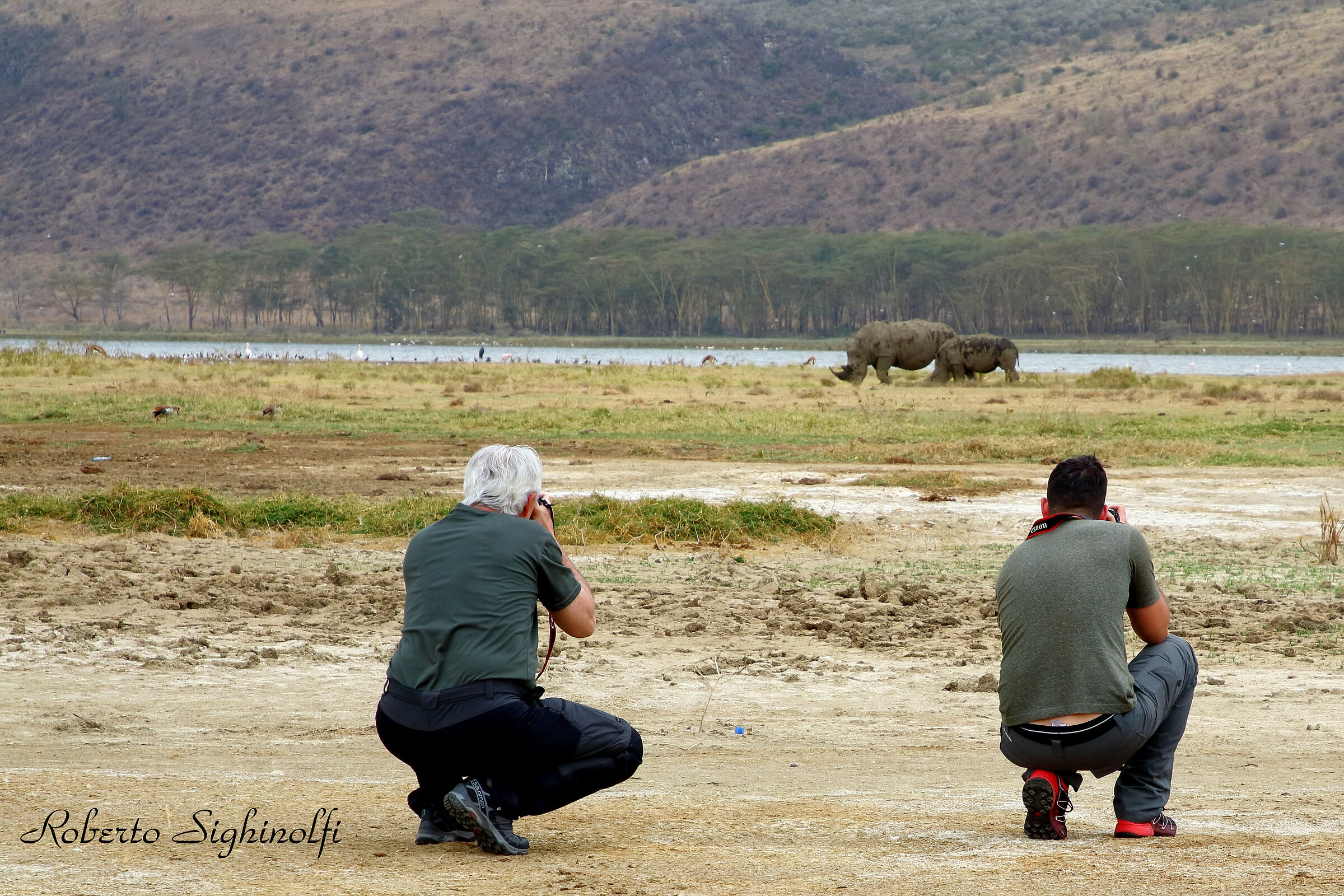 We and the White Rhino