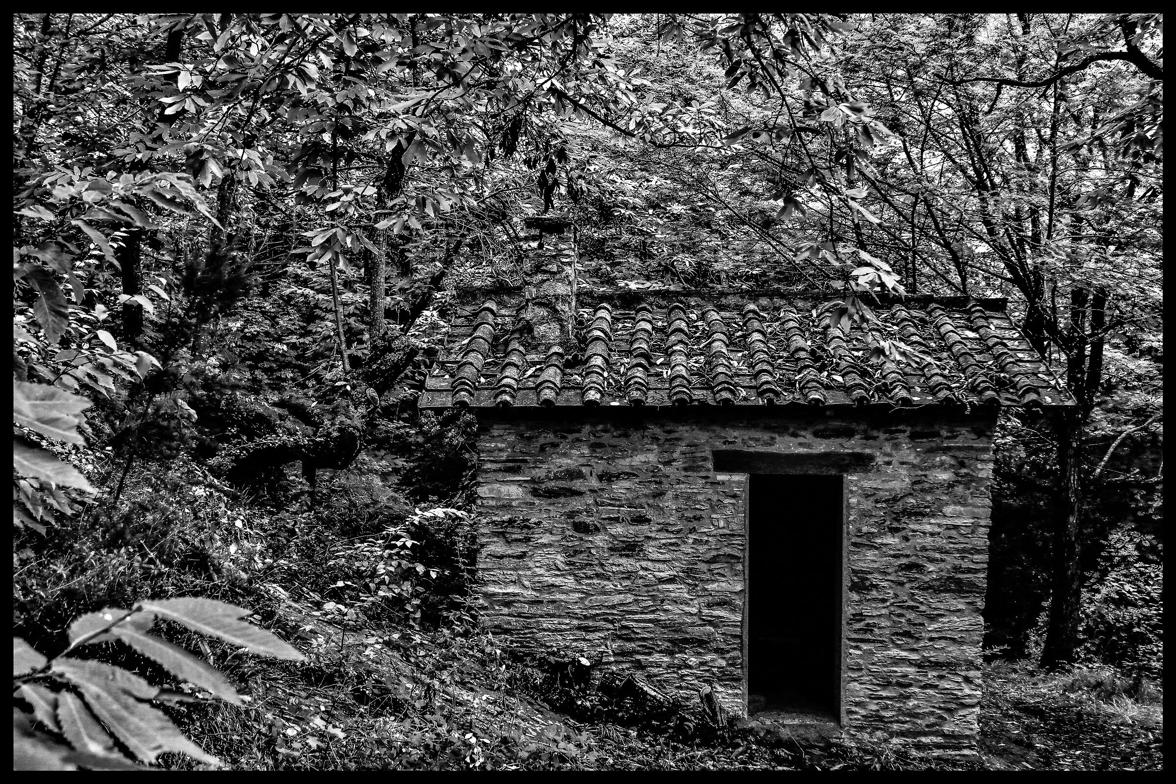 Vecchi seccatoio - Sassetta