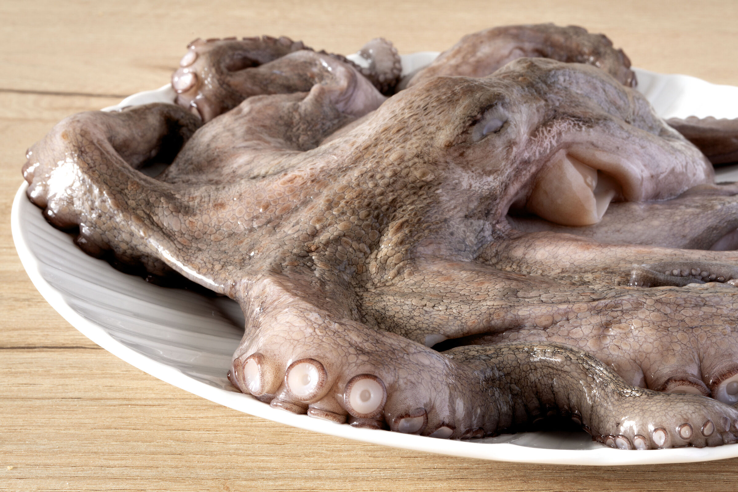 polpo crudo nel piatto sul tavolo di legno della cucina