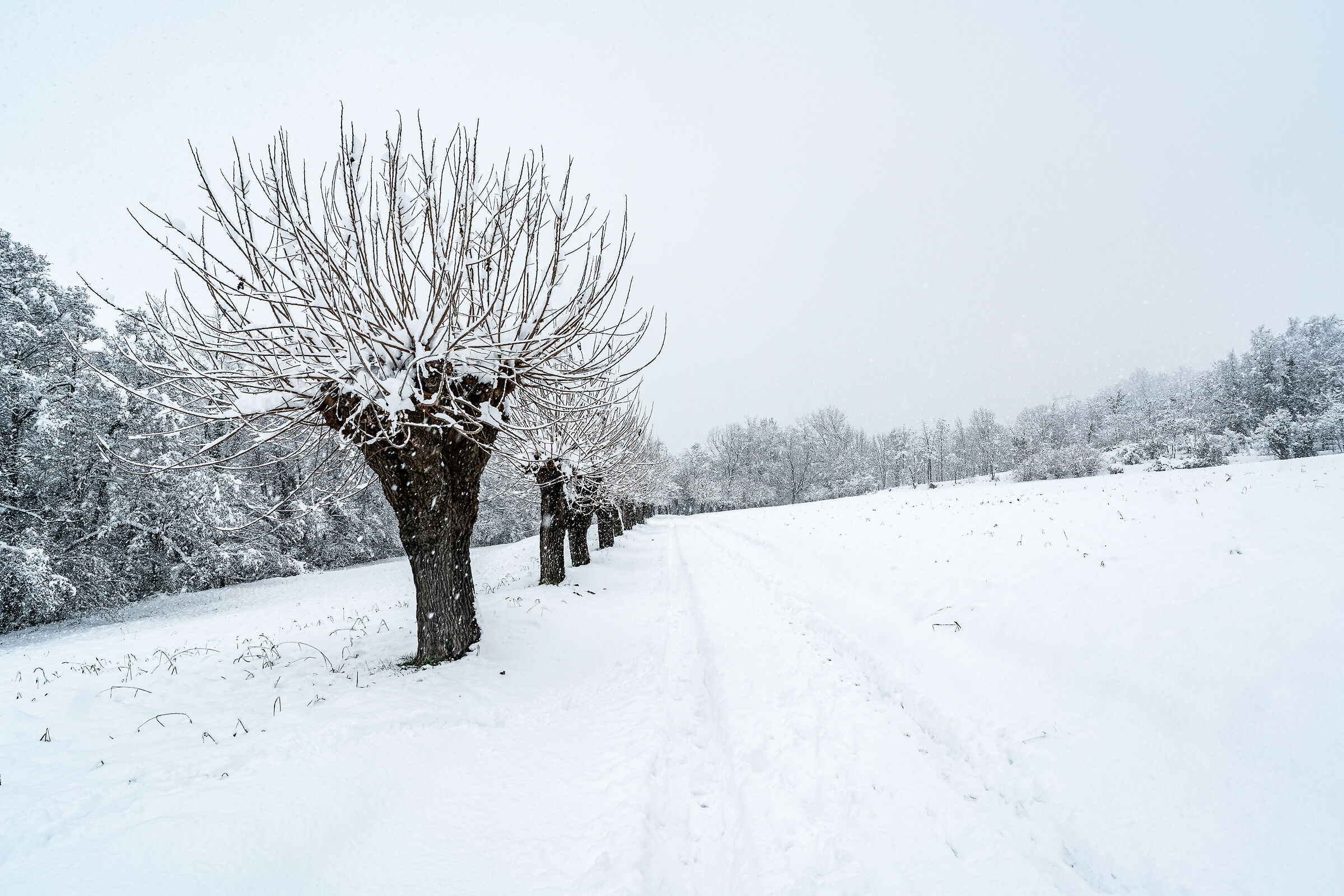 Le "Fontanelle" innevate