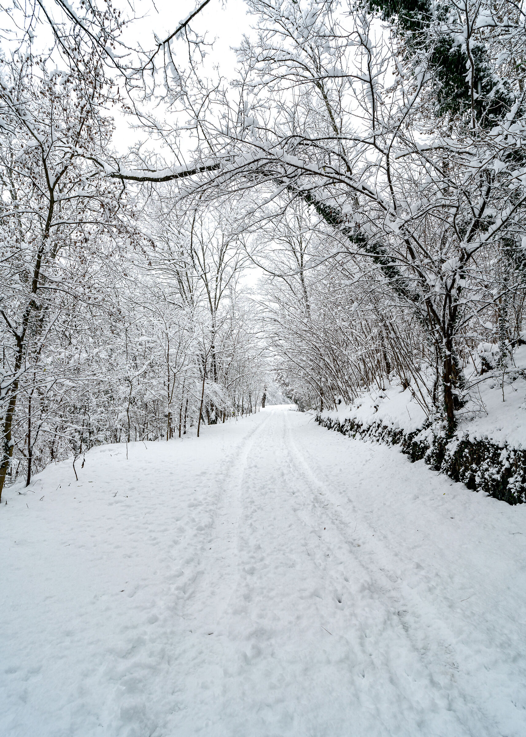 Le "Fontanelle" innevate