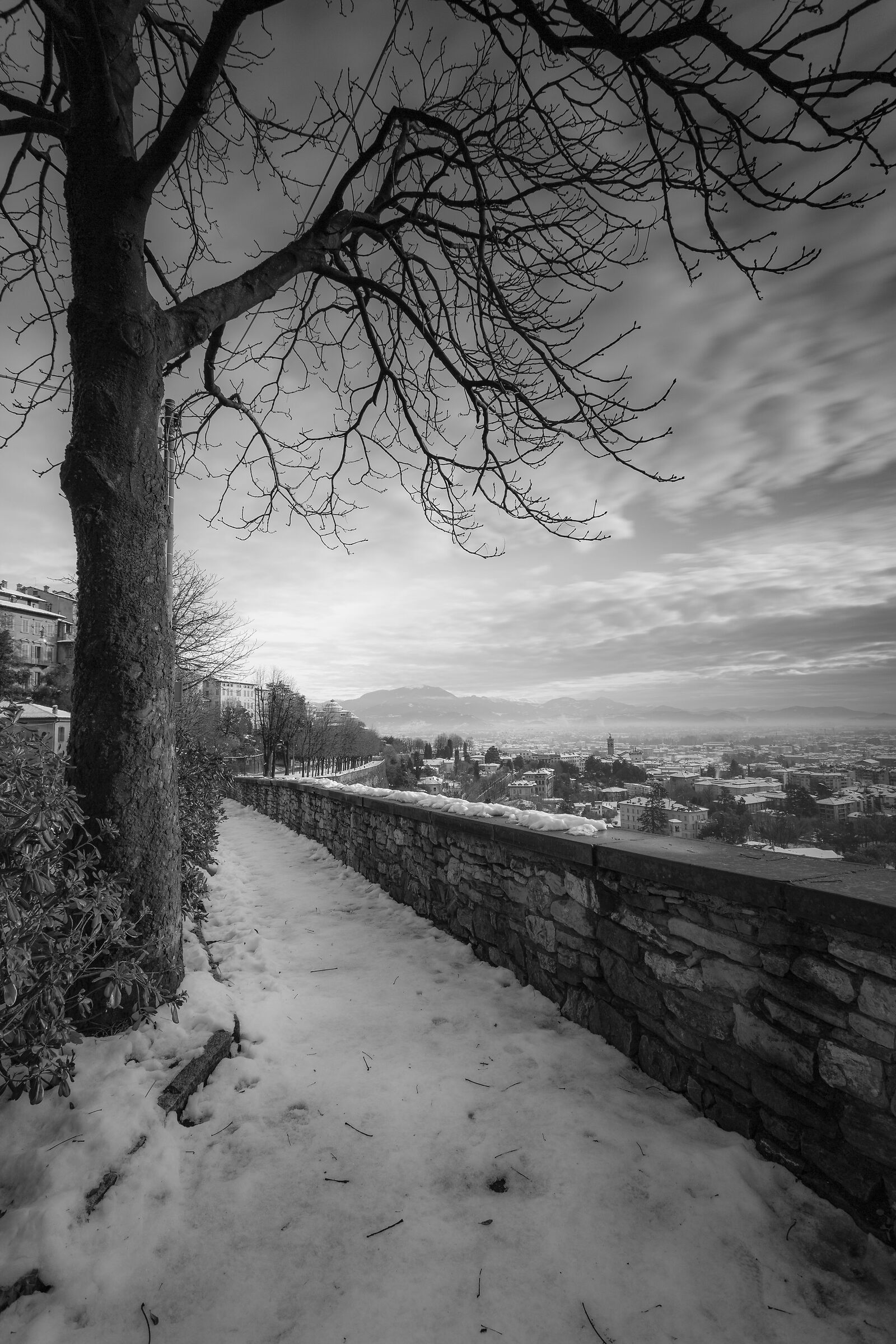 Bergamo from top to bottom