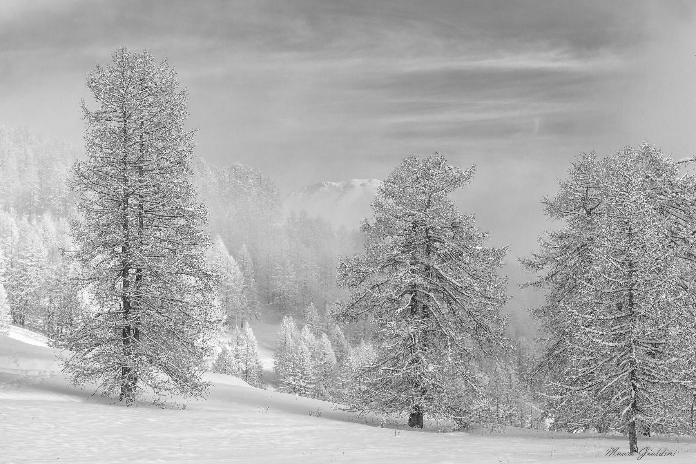Subito dopo la nevicata