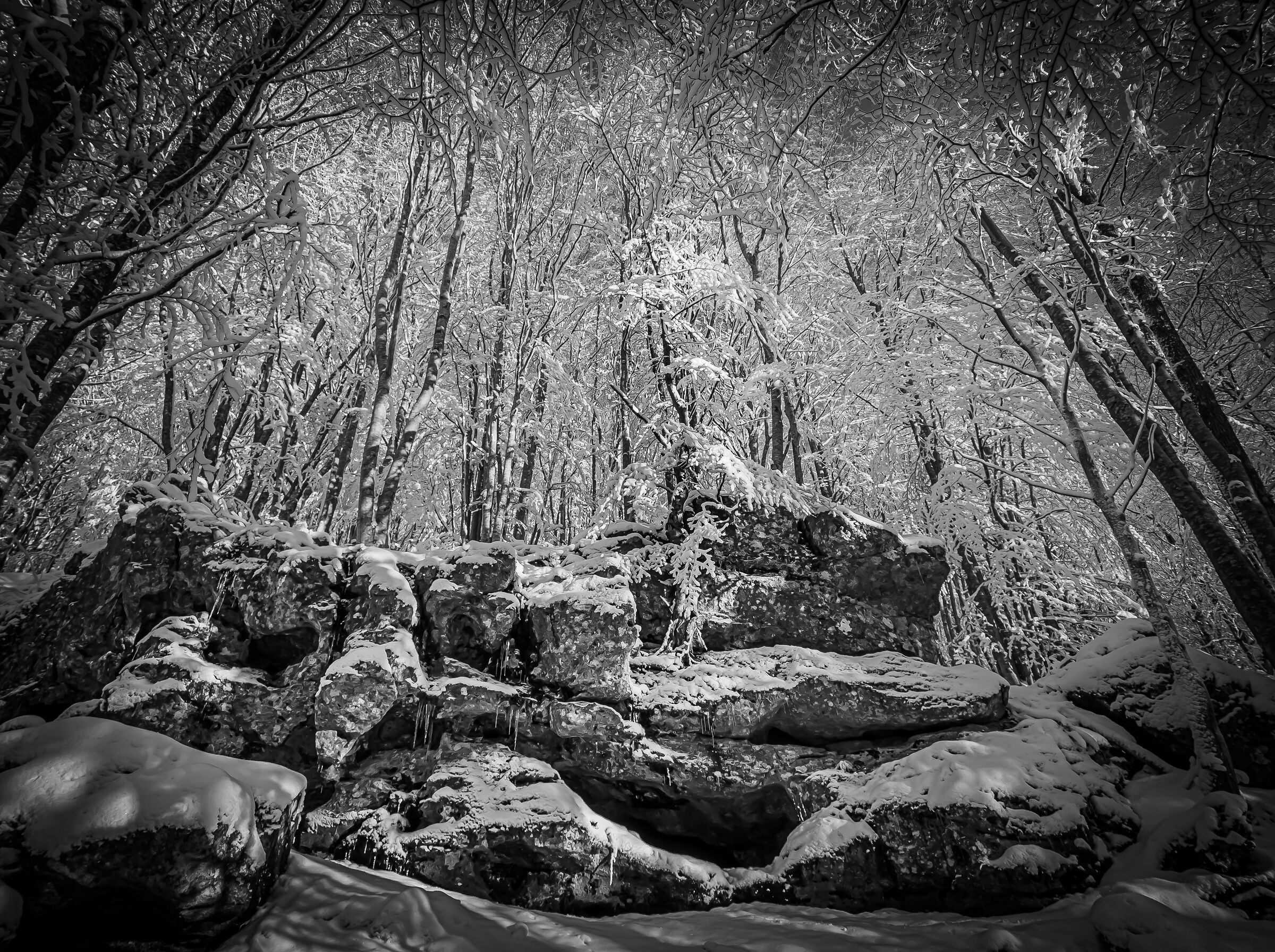 Monte Amiata forest before snow 1