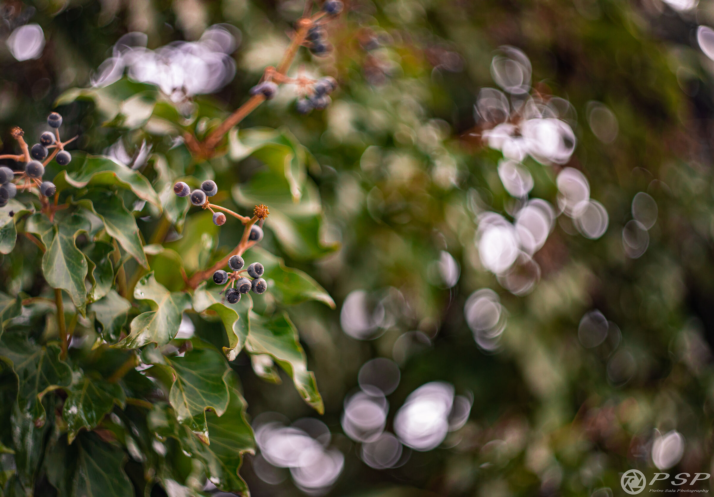 It doesn't change as much as the 2, they said...