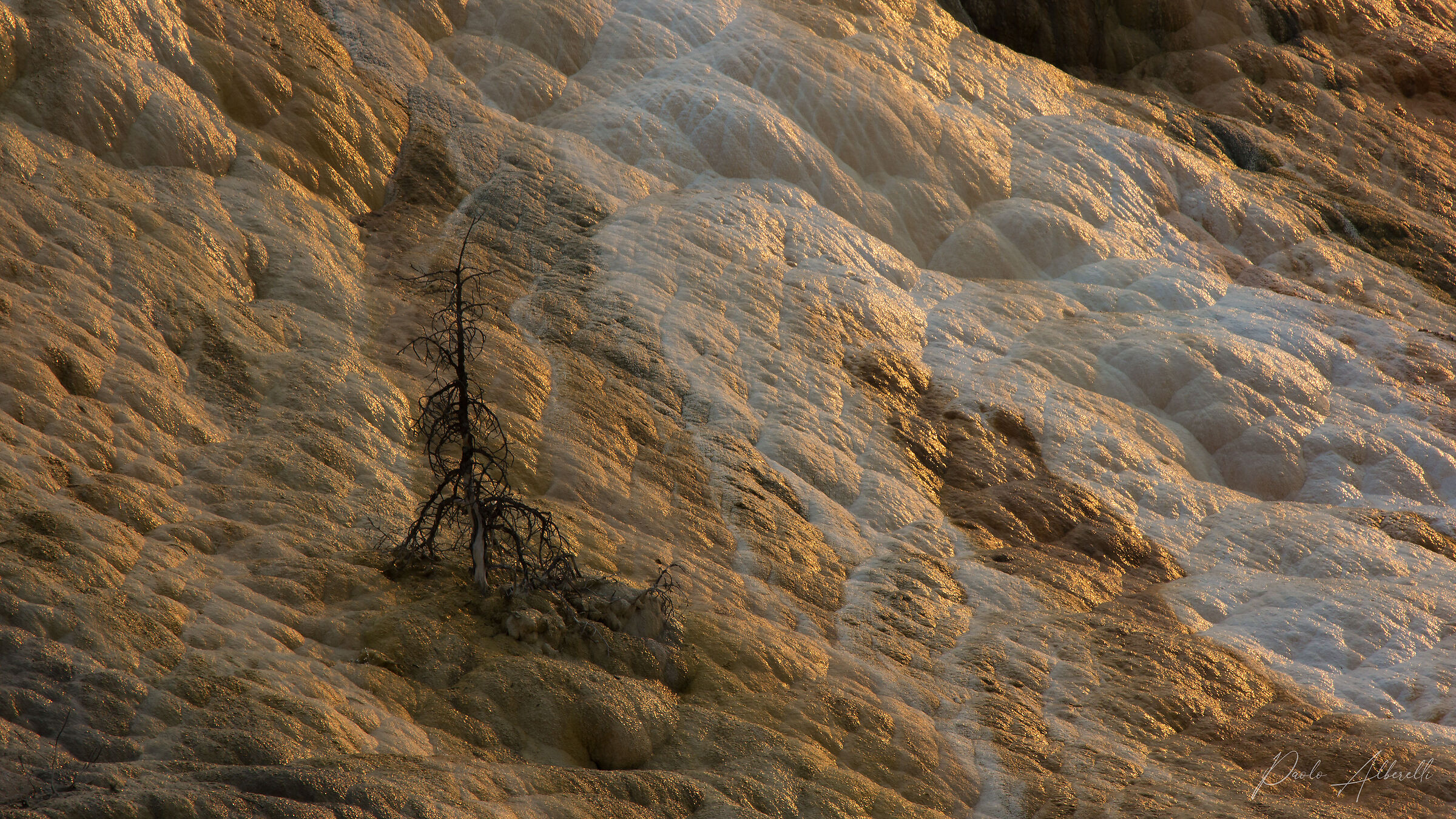 Golden light at Mammoth Hot Springs