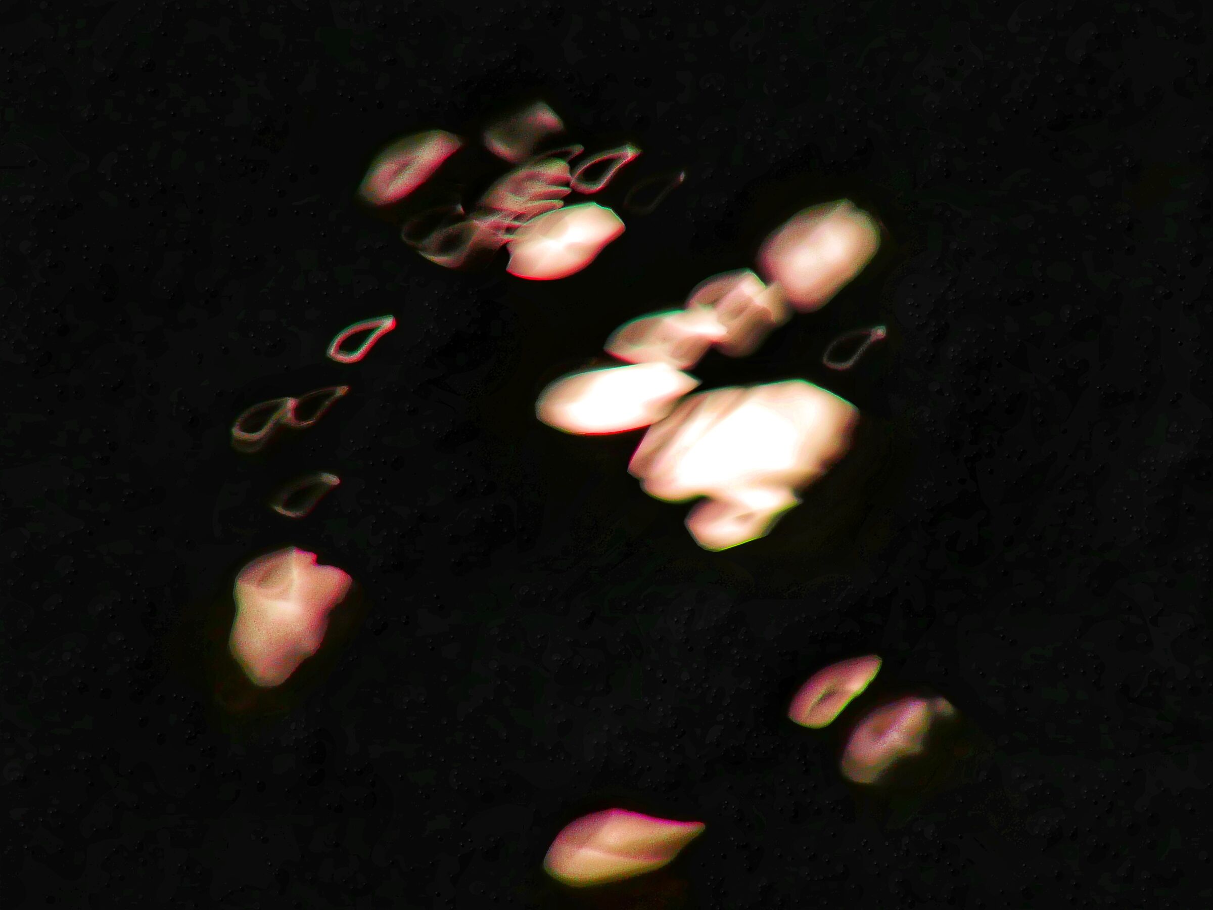 Buon 2021 a tutti gli amici Juzzini