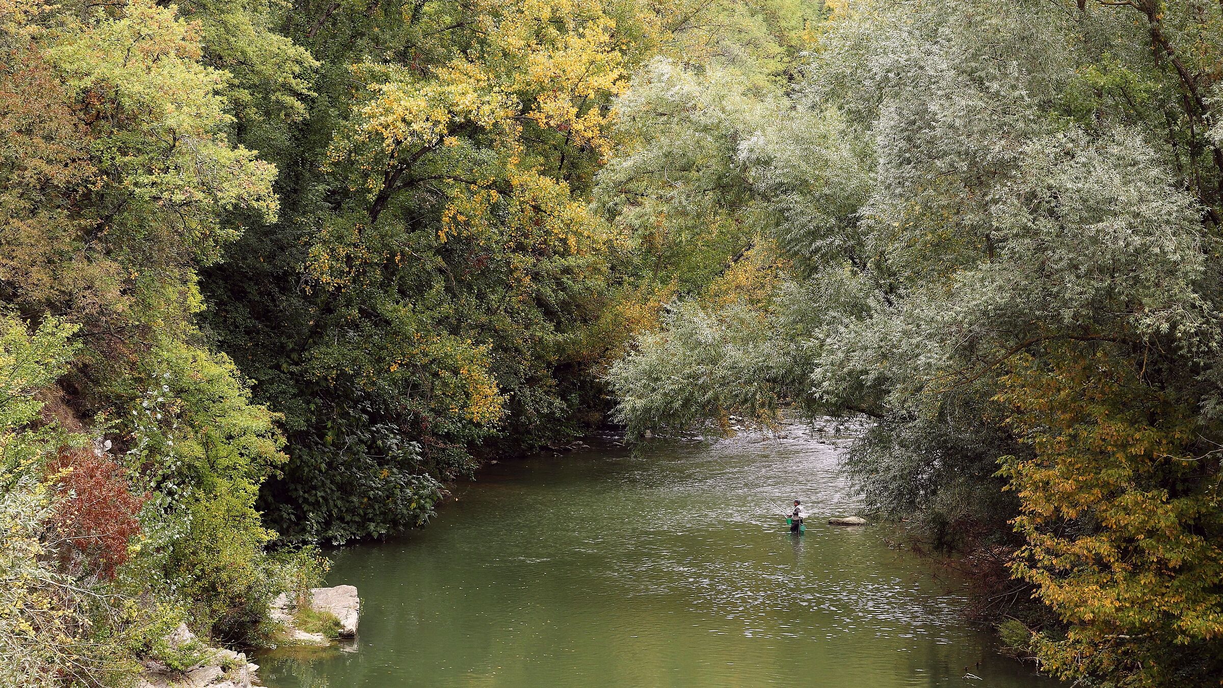 Autumn on the River Sieve