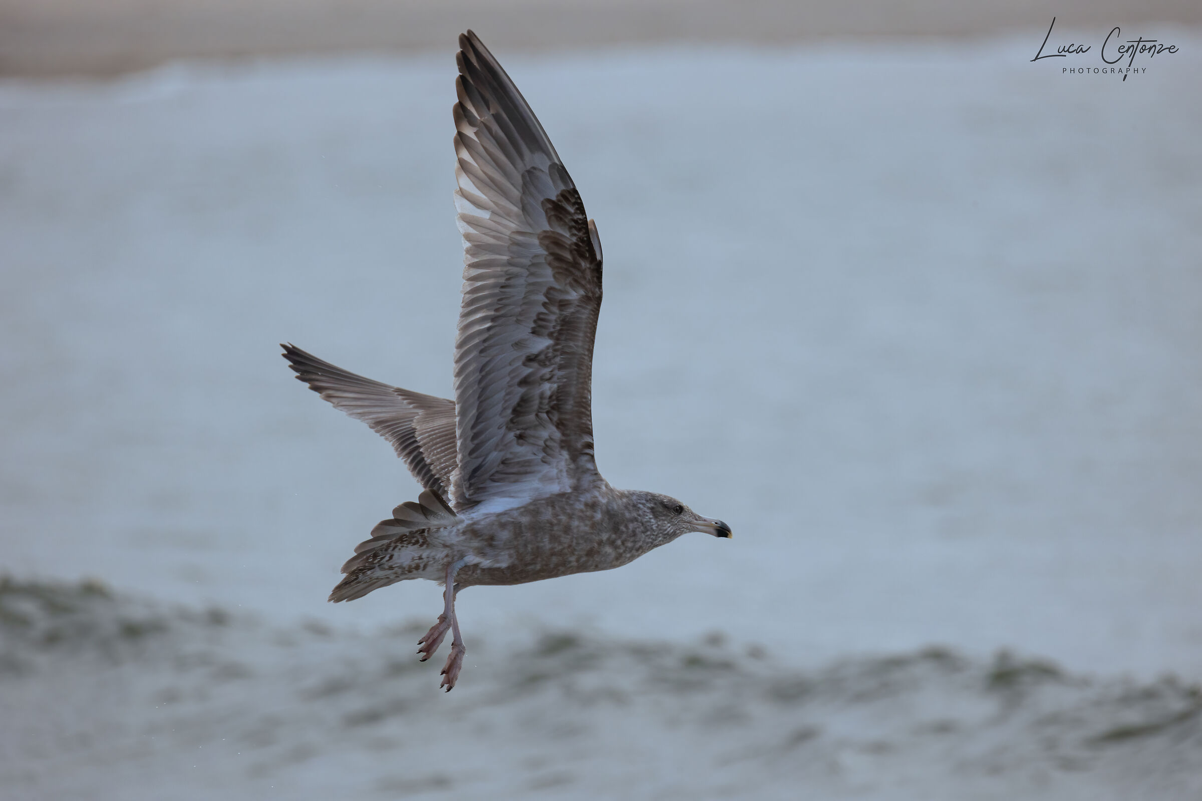 Test #3 Canon RF 800 f/11