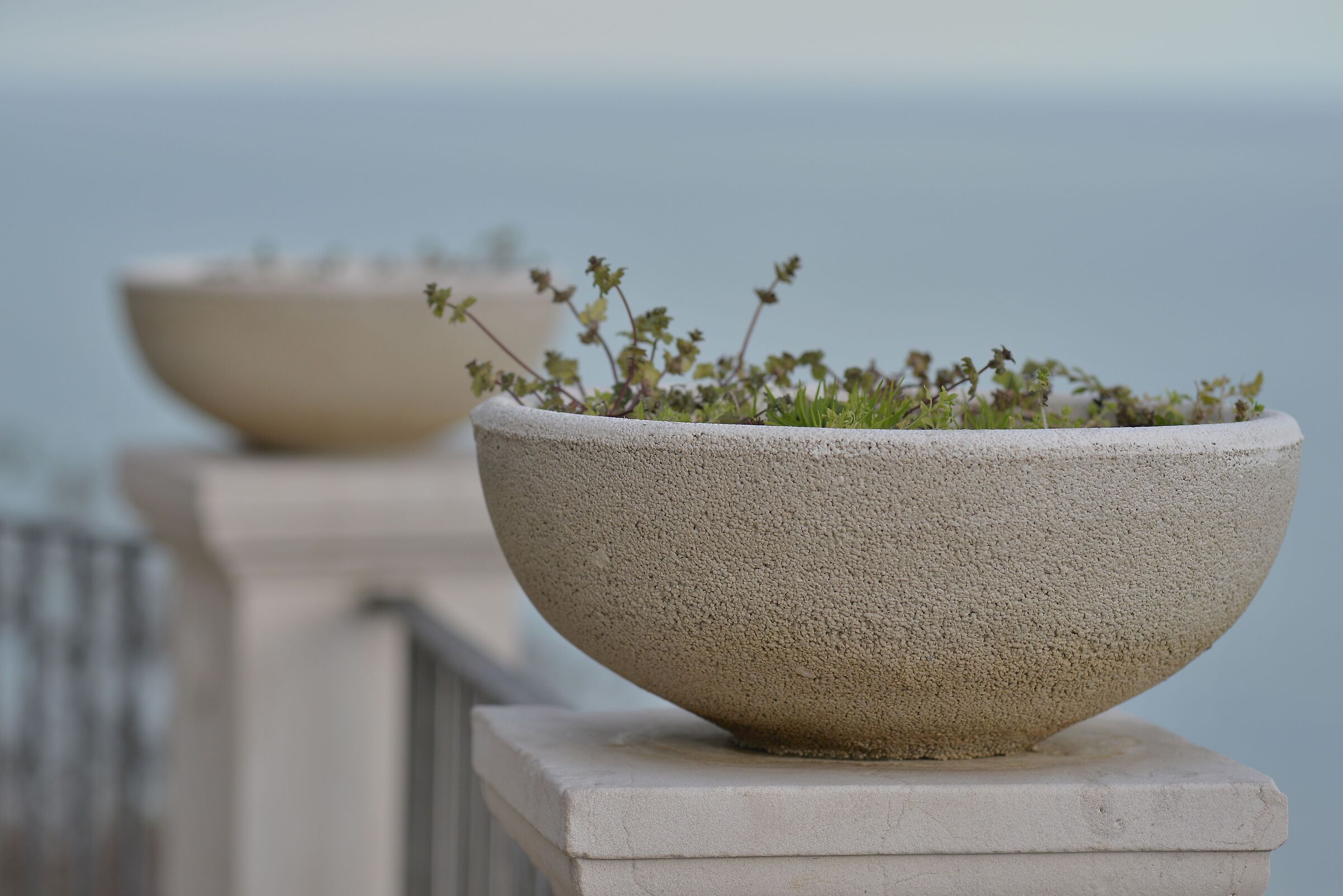 Nikon 135 3.5 AI-S test