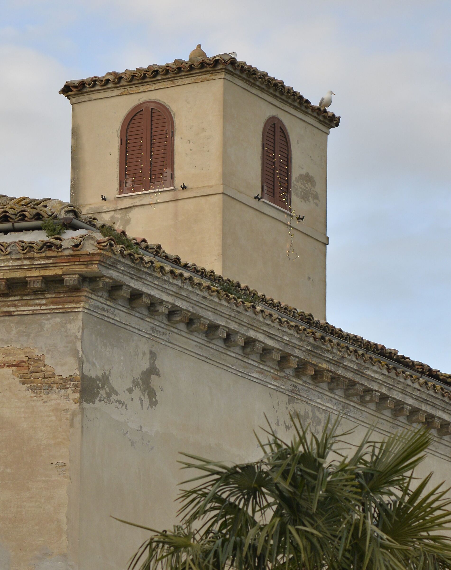 Test Nikon 135 3,5 ai-s