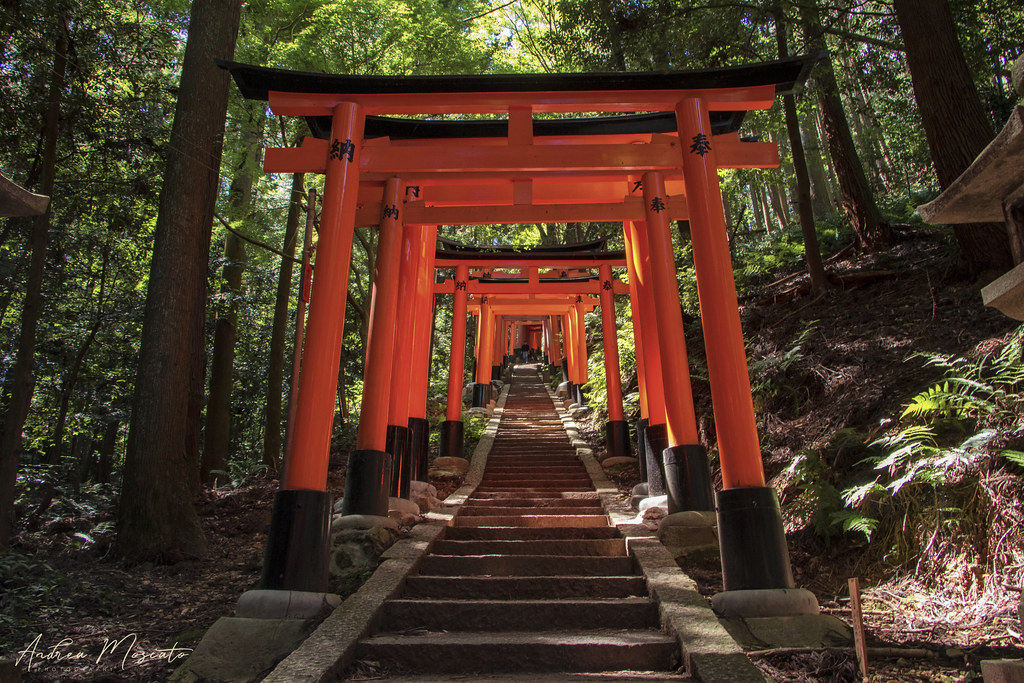Fushimi Inari Taisha, Torii Trail - Kyoto (Japan)