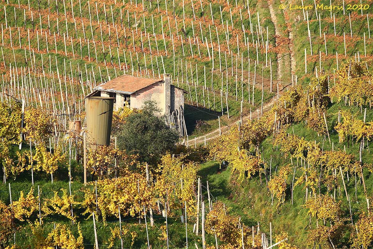 Anti-hail cannon in the vineyard