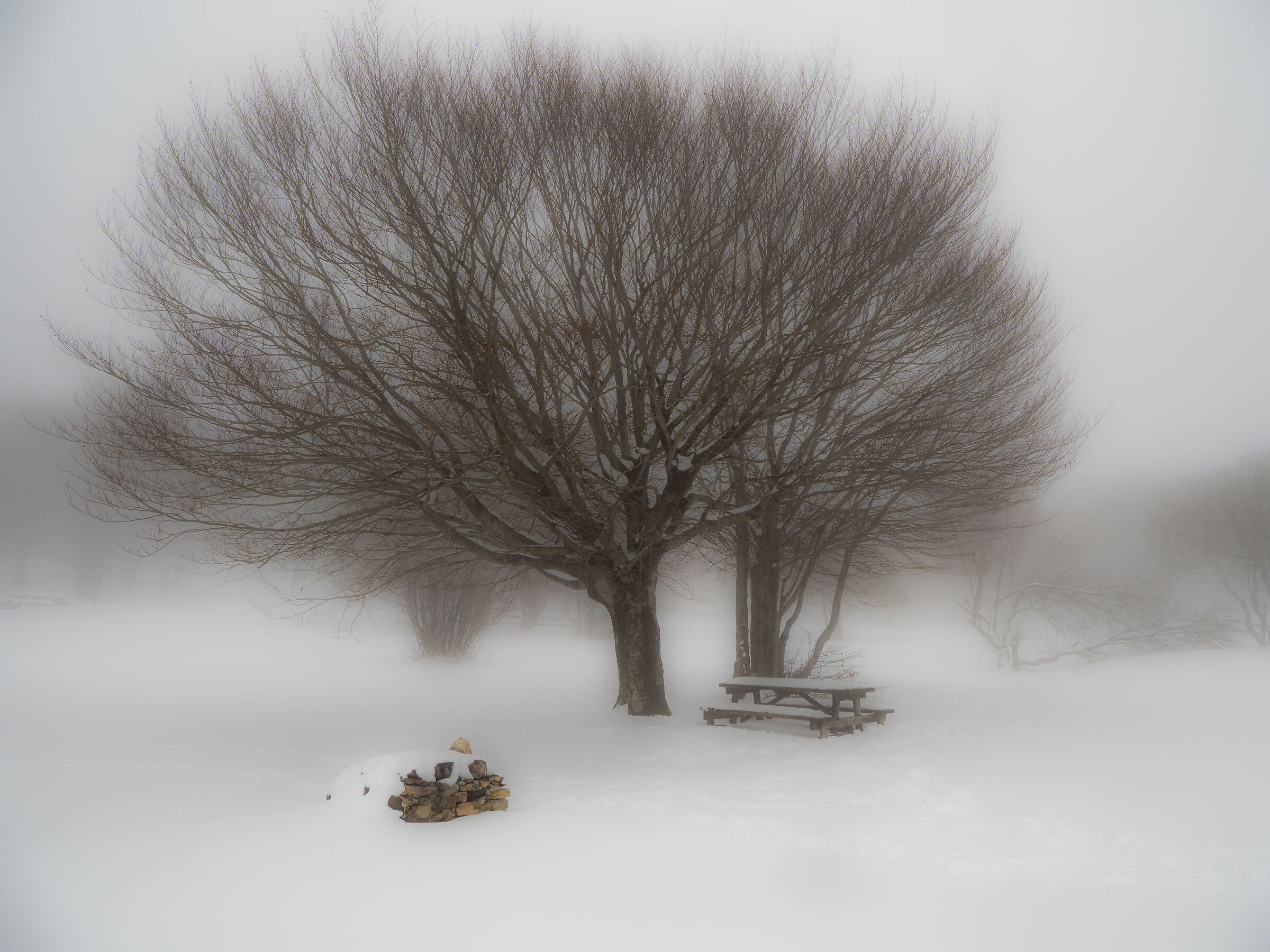 Untitled Photo