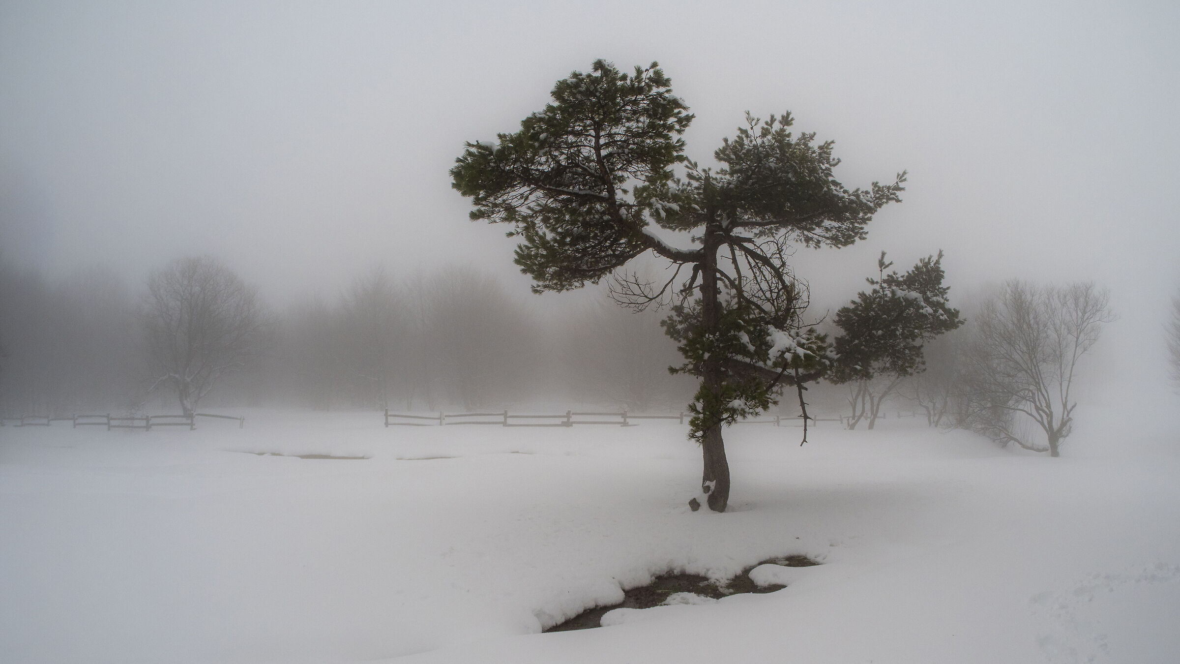Untitled Photo
