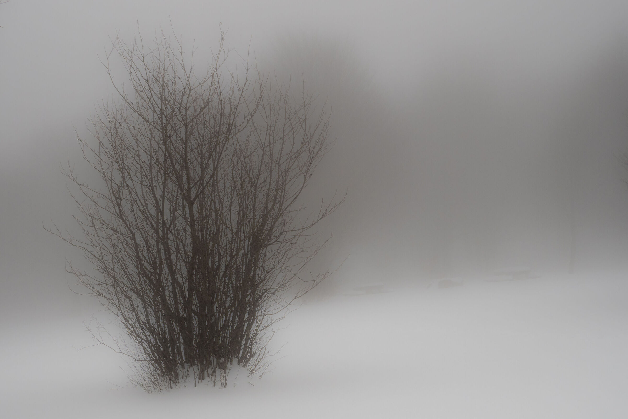 Untitled Photo