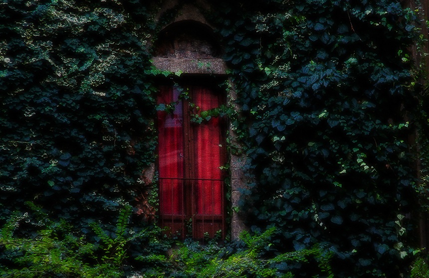 Red window