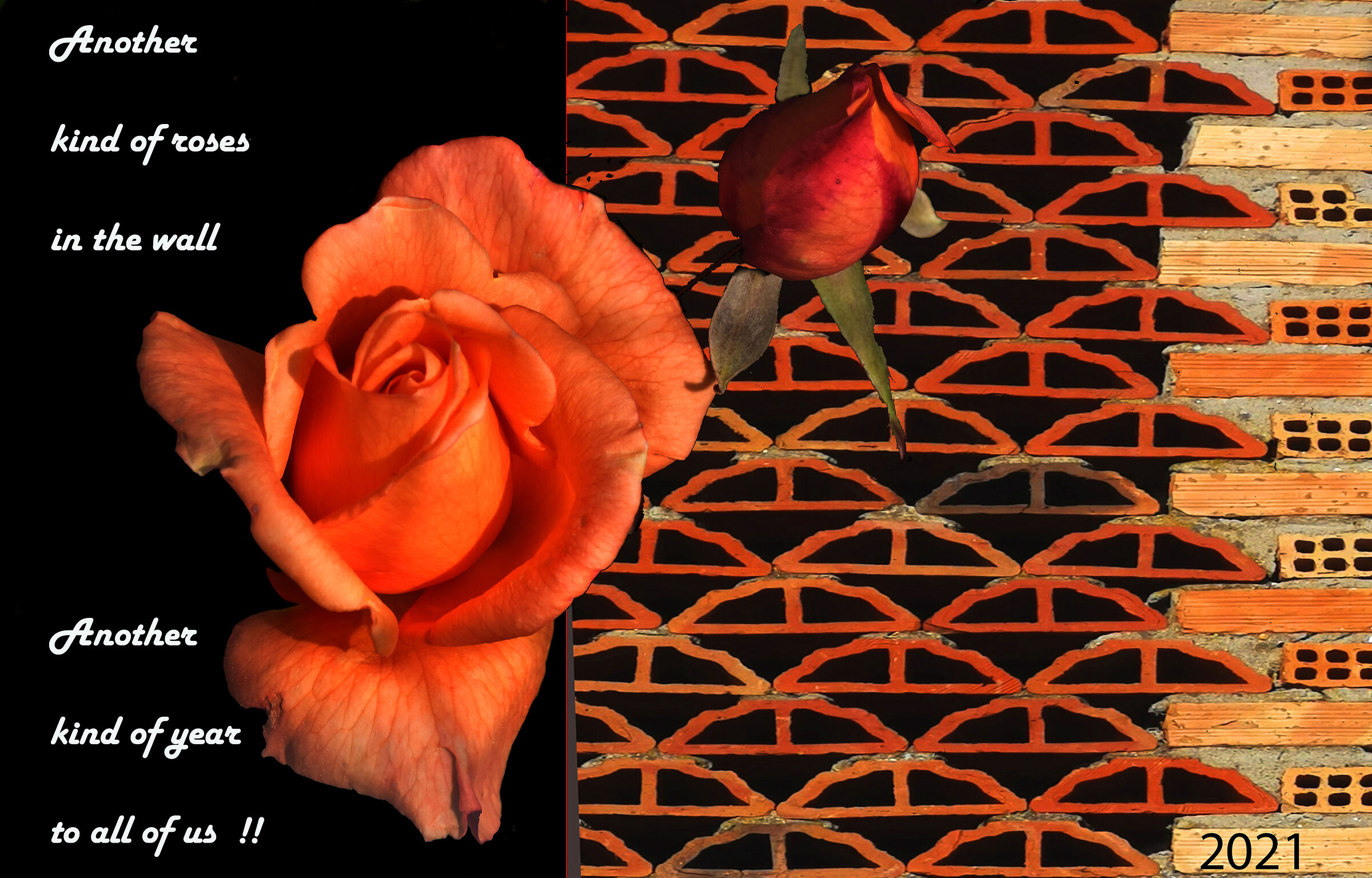 Another Kind of year to everyone