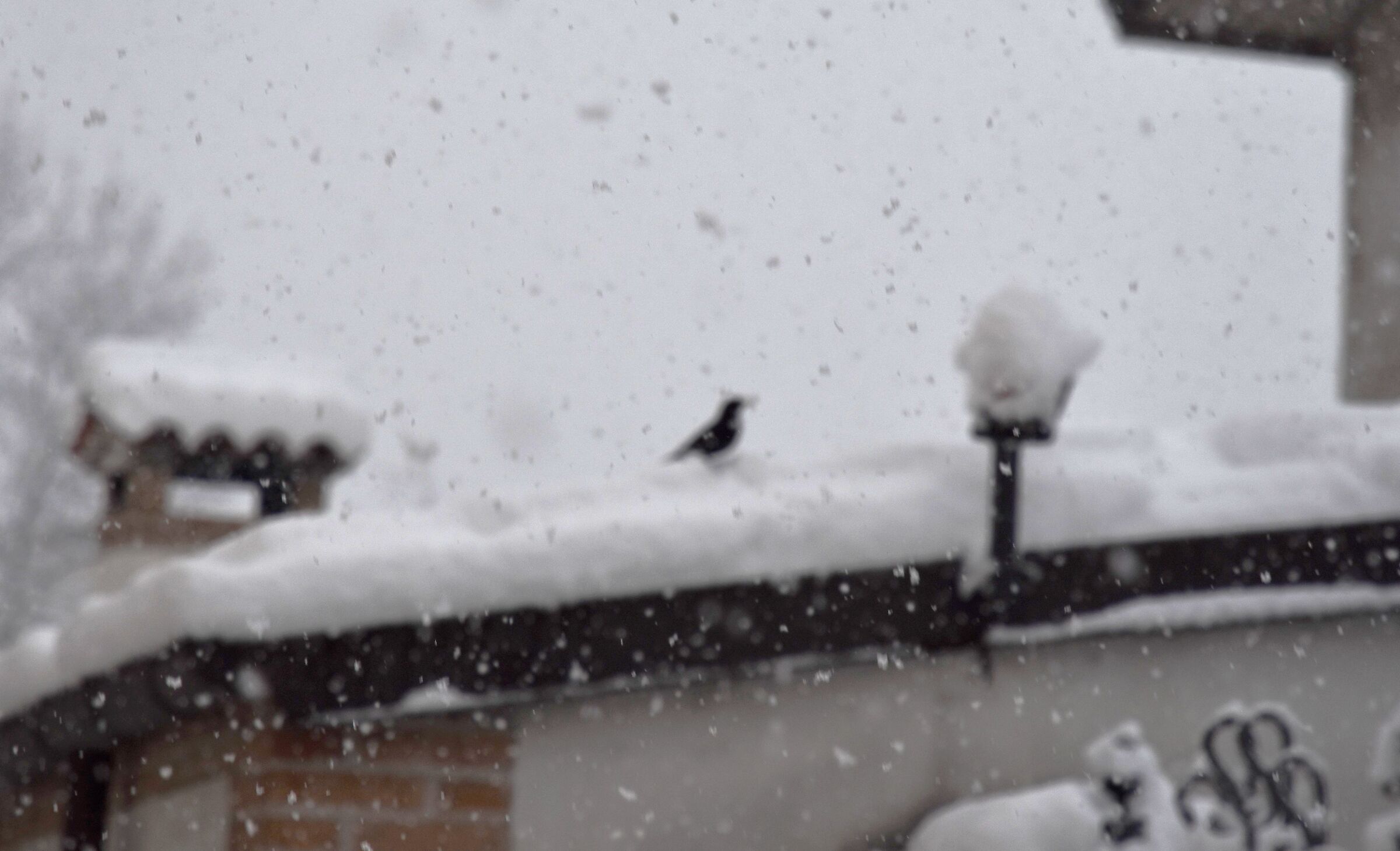 Qui situazione sotto controllo