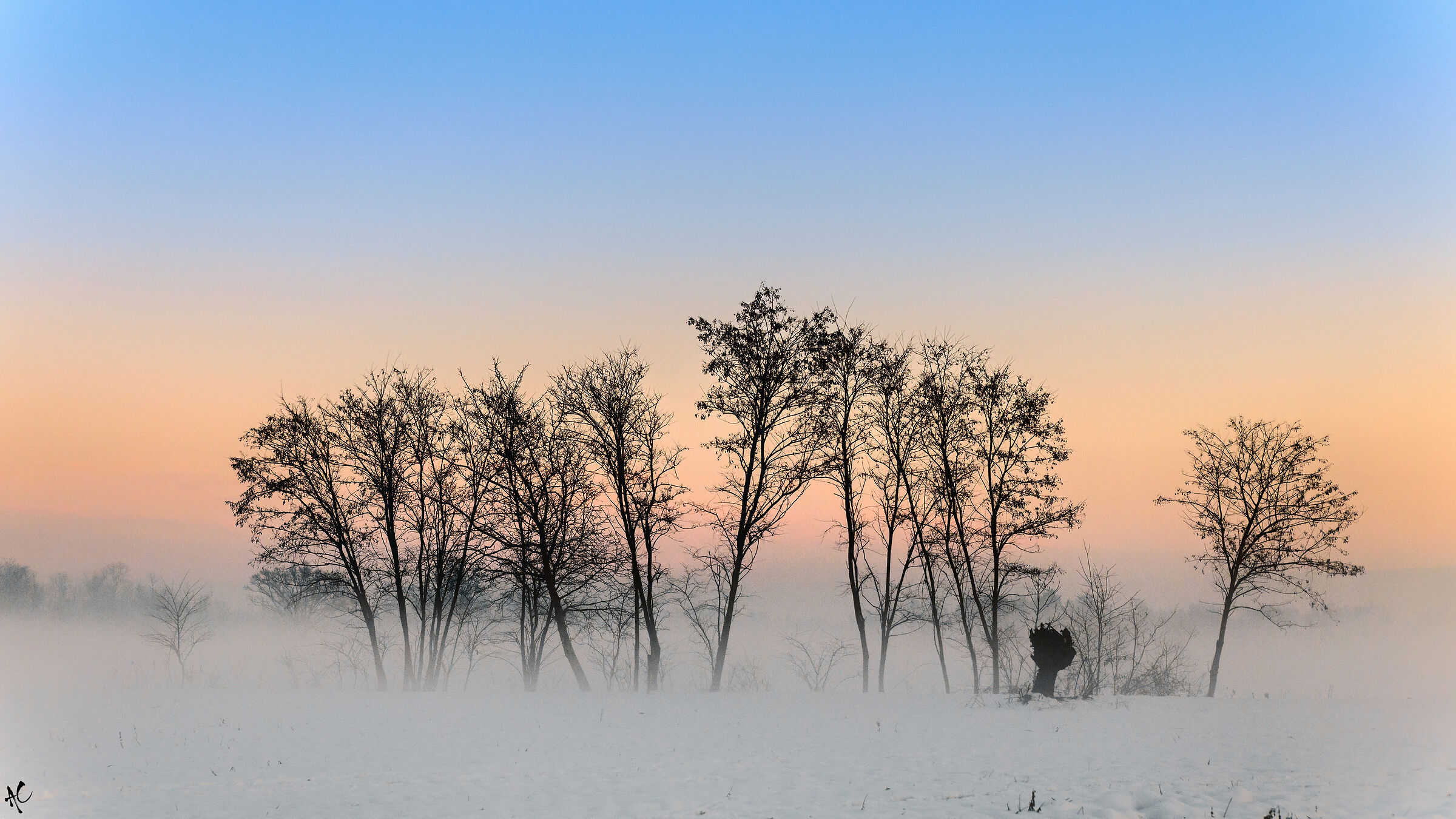 The last sunset of the year