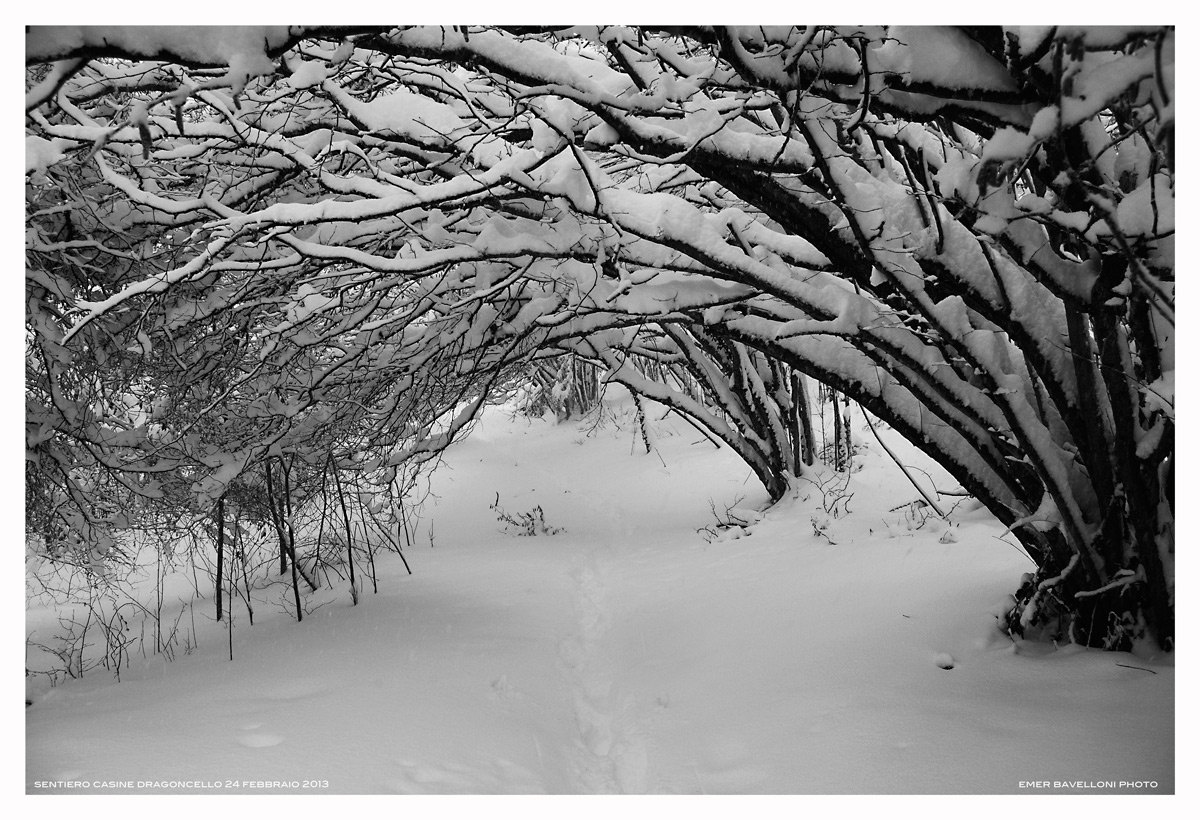 sentiero innevato