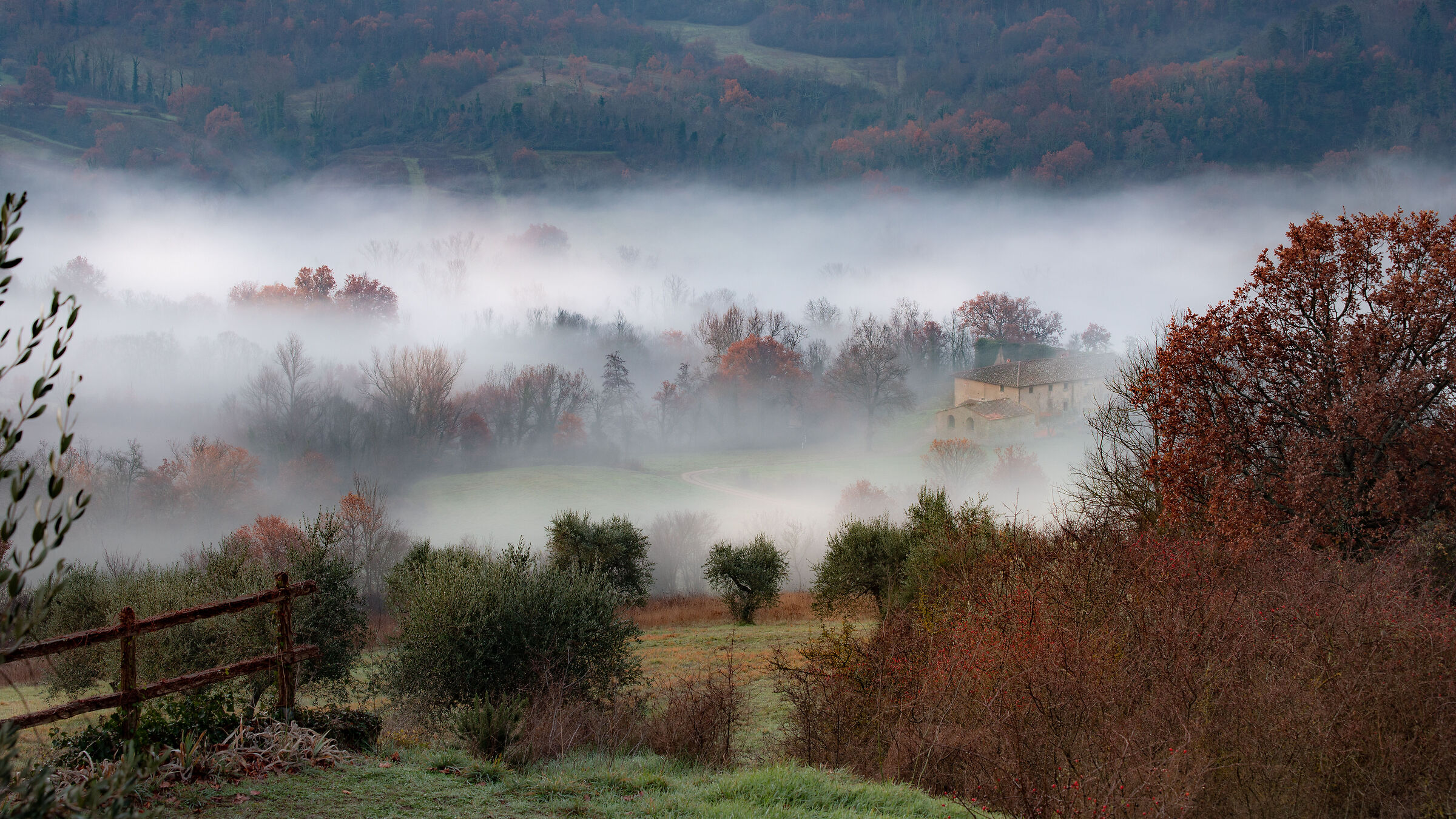 Near Bivigliano - Florence
