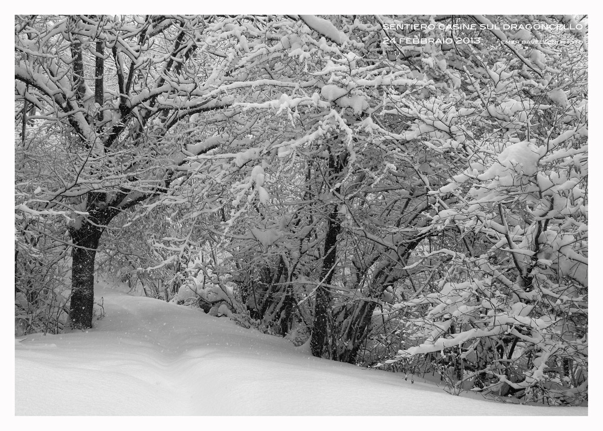 sentiero innevato 2