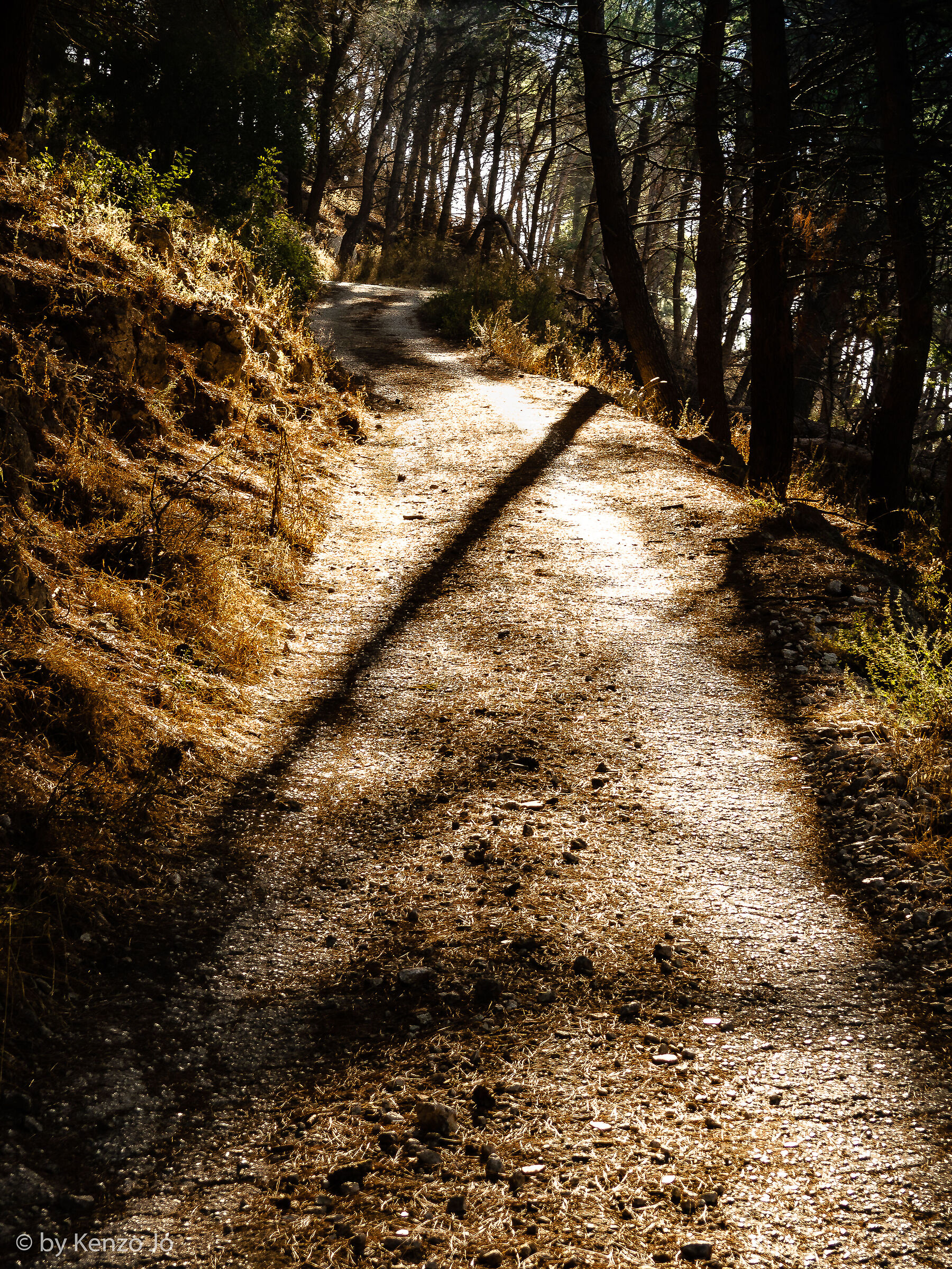 Casertavecchia: monte baccala