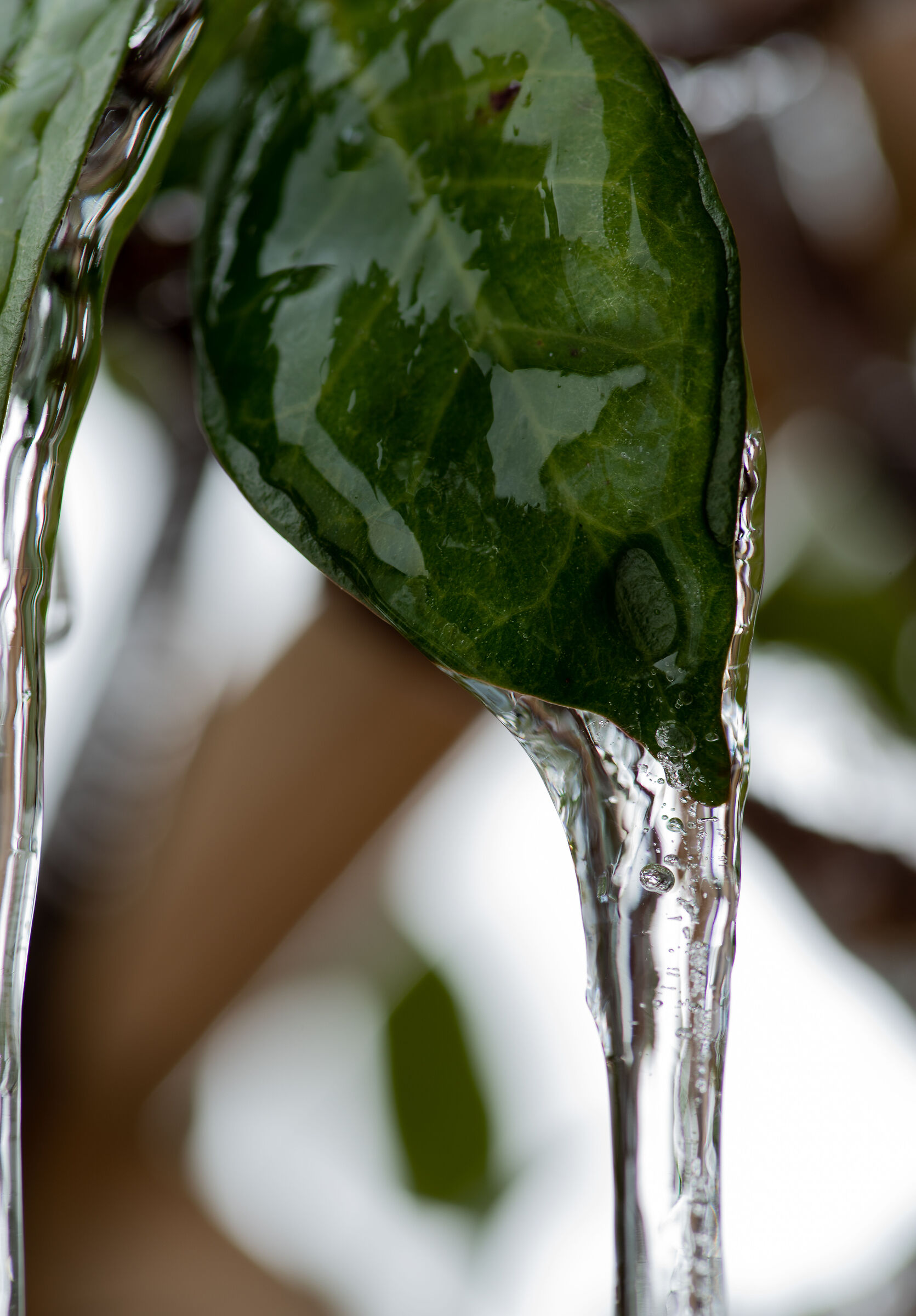 Ti ghiaccio ma non ti stacco