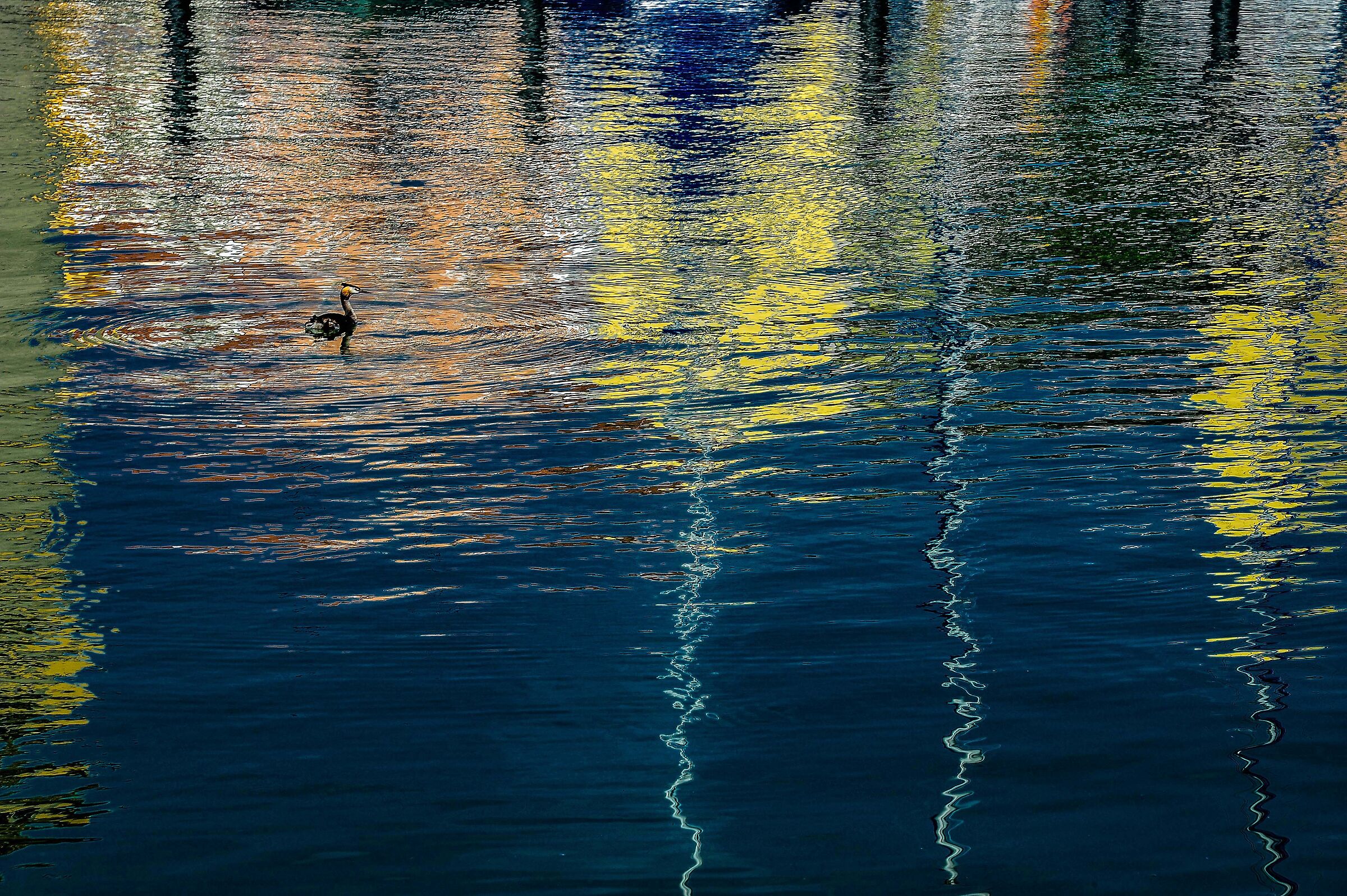 l'acqua e i suoi ....riflessi