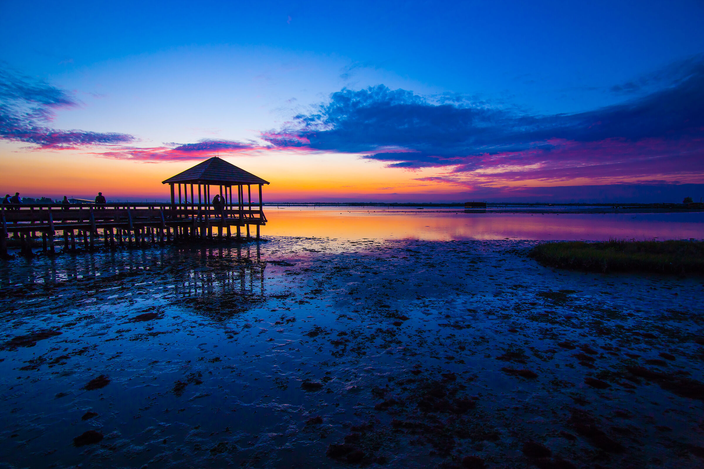 giardino botanico litoraneo