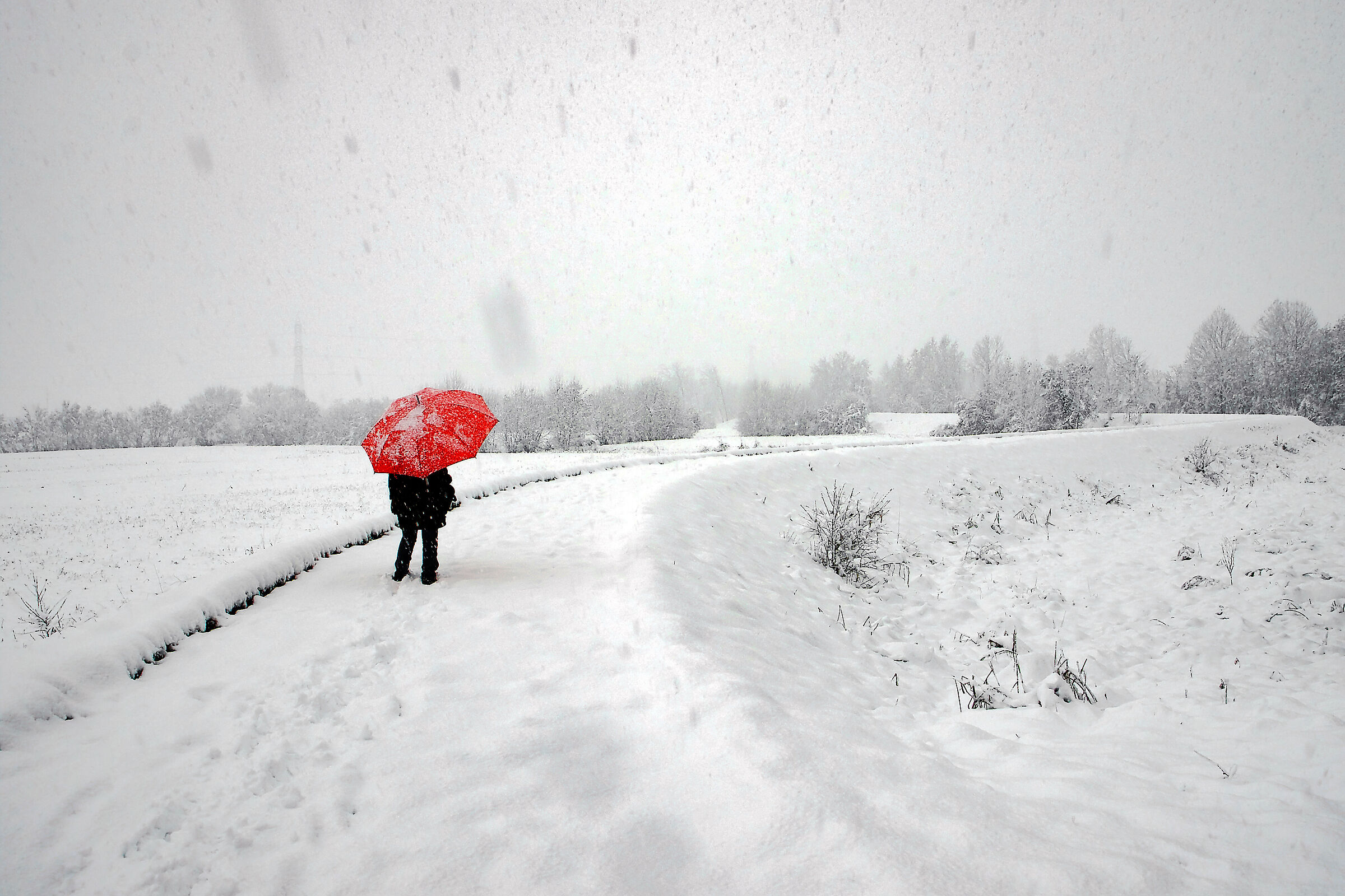 The snowfall of December 28th