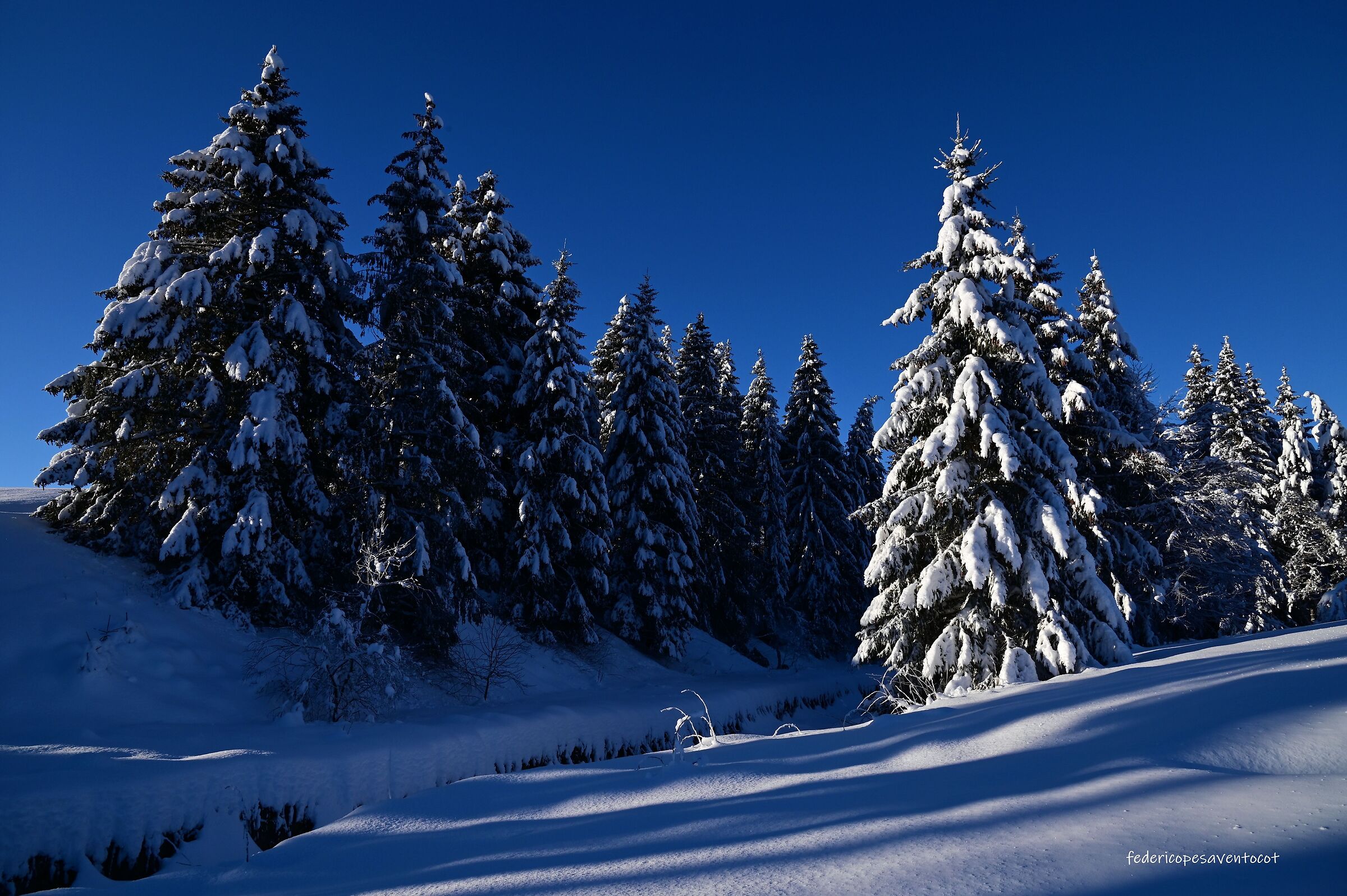 Paesaggi invernali