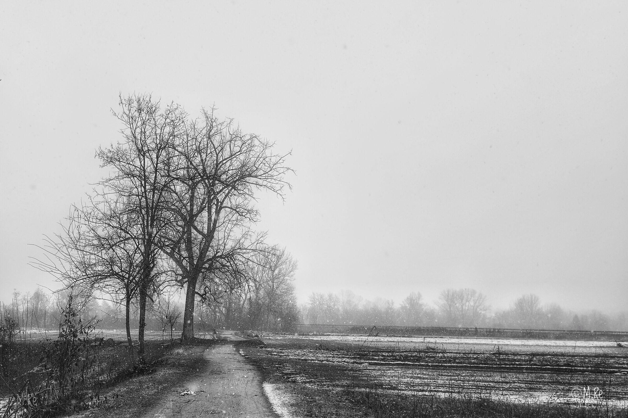 Primo giorno dell'anno