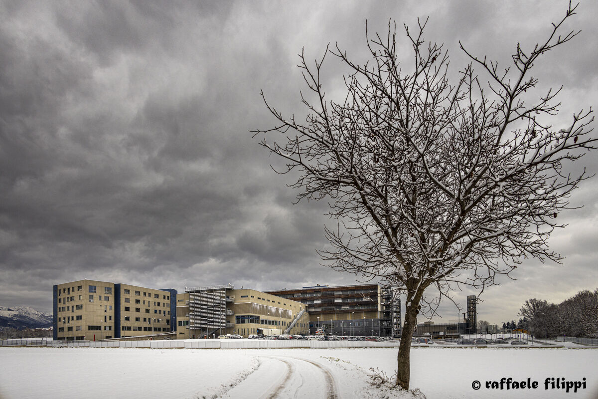 Tribute to our Doctors and Nurses Biella Hospital