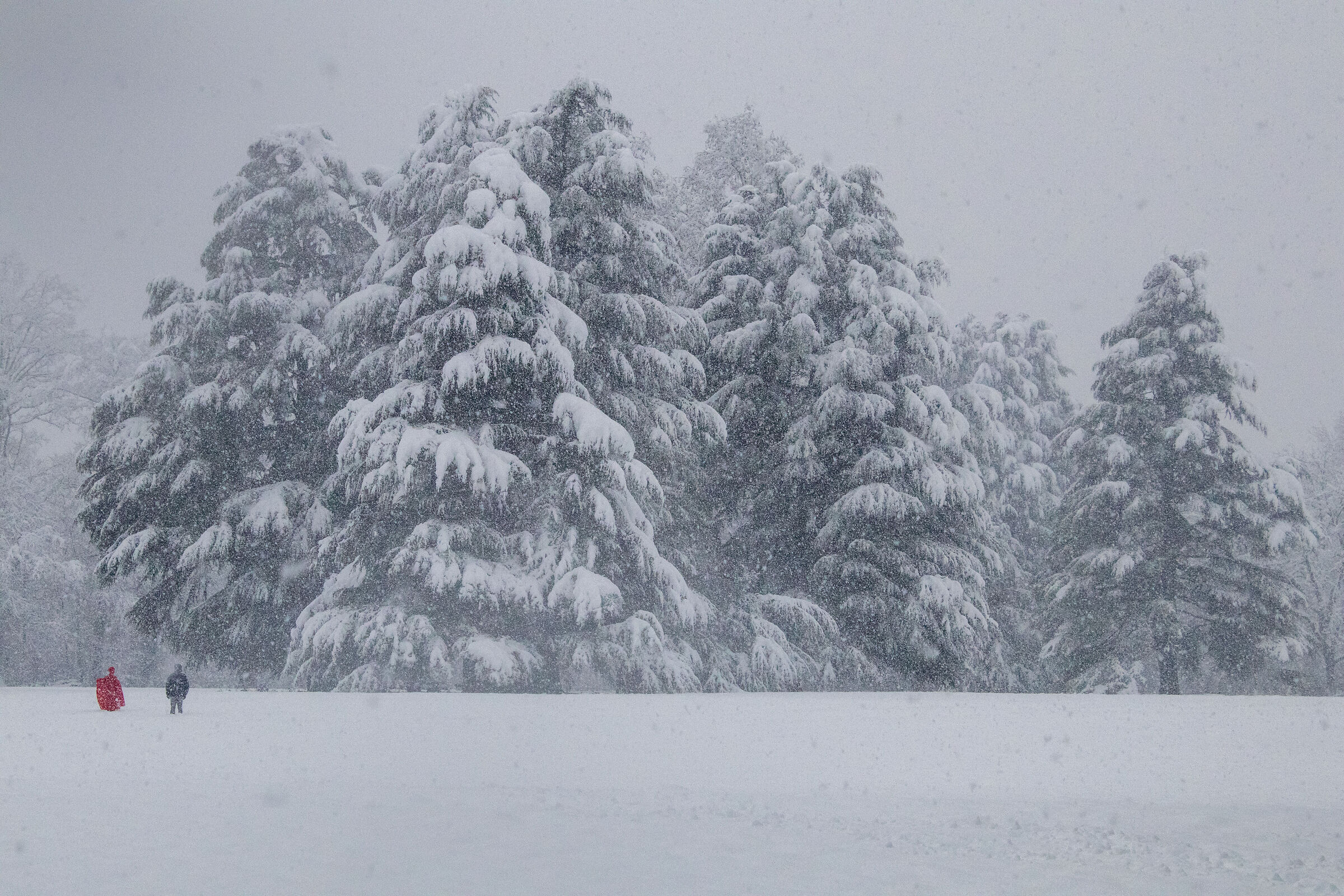 Winter White