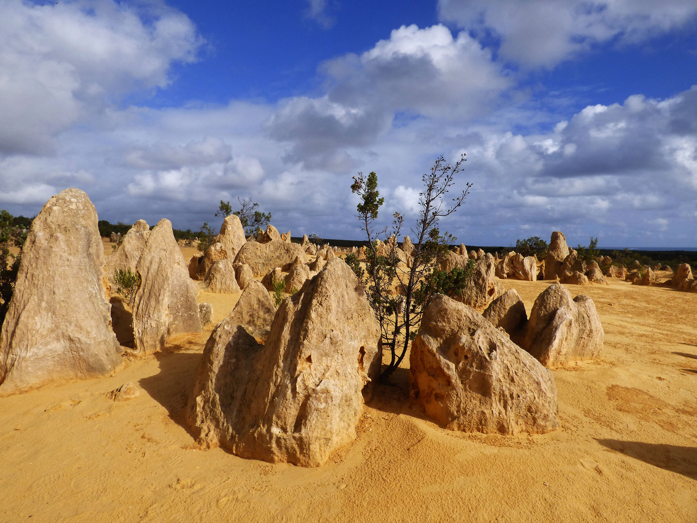 Australia, the Pinnacles Desert
