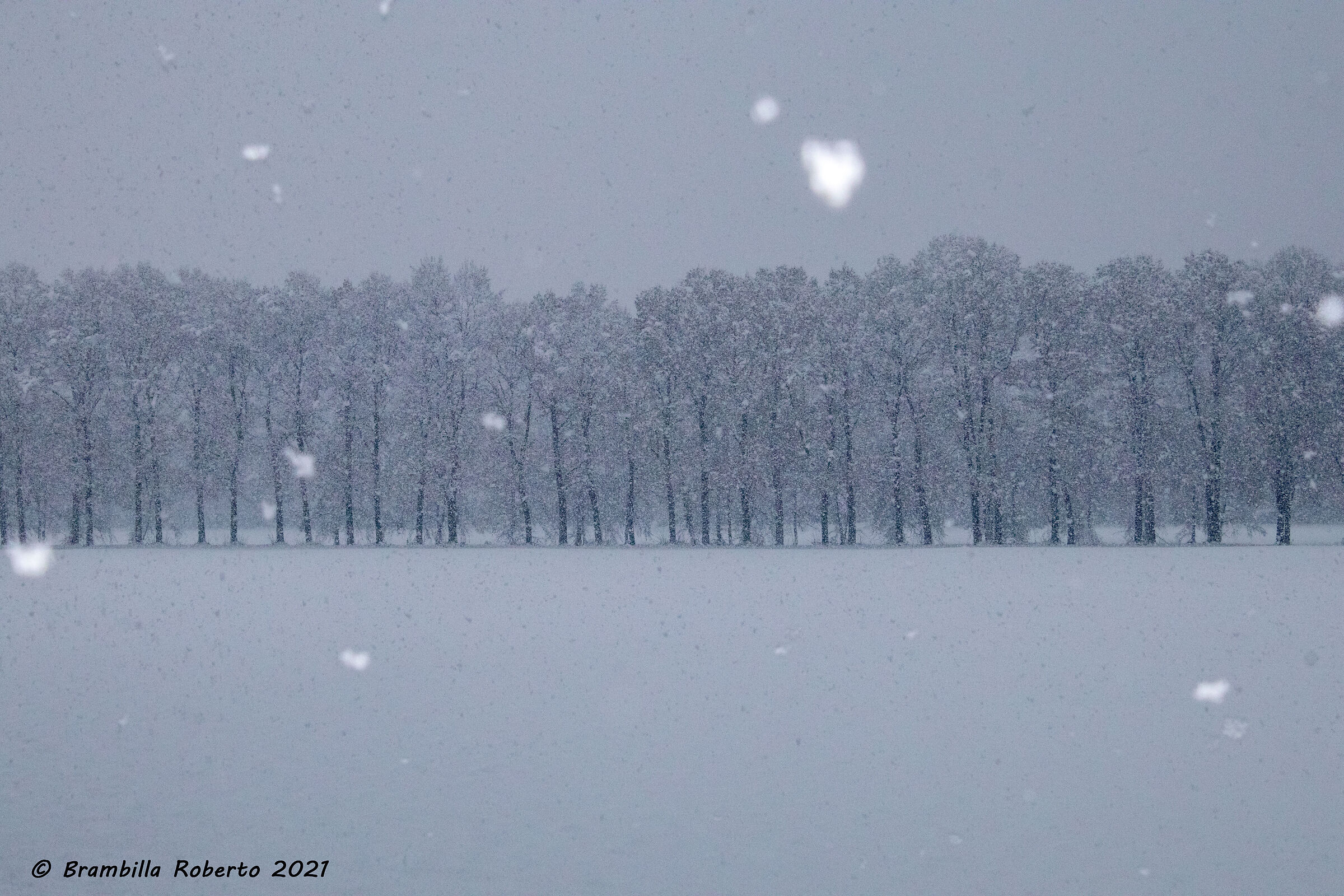 Magical Winter White