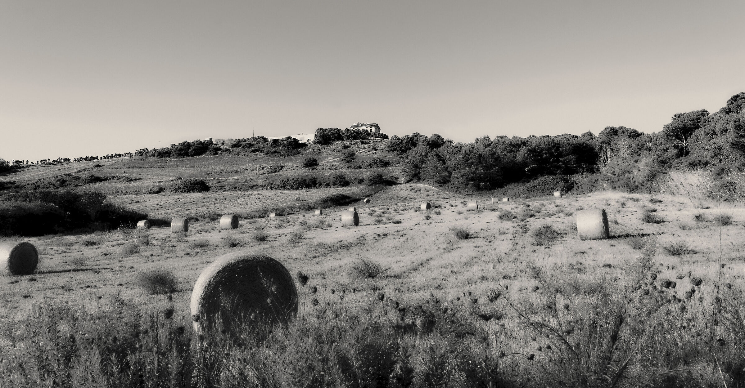 Estate 2020 colline , Platamona Piazzetta Abbacurrente