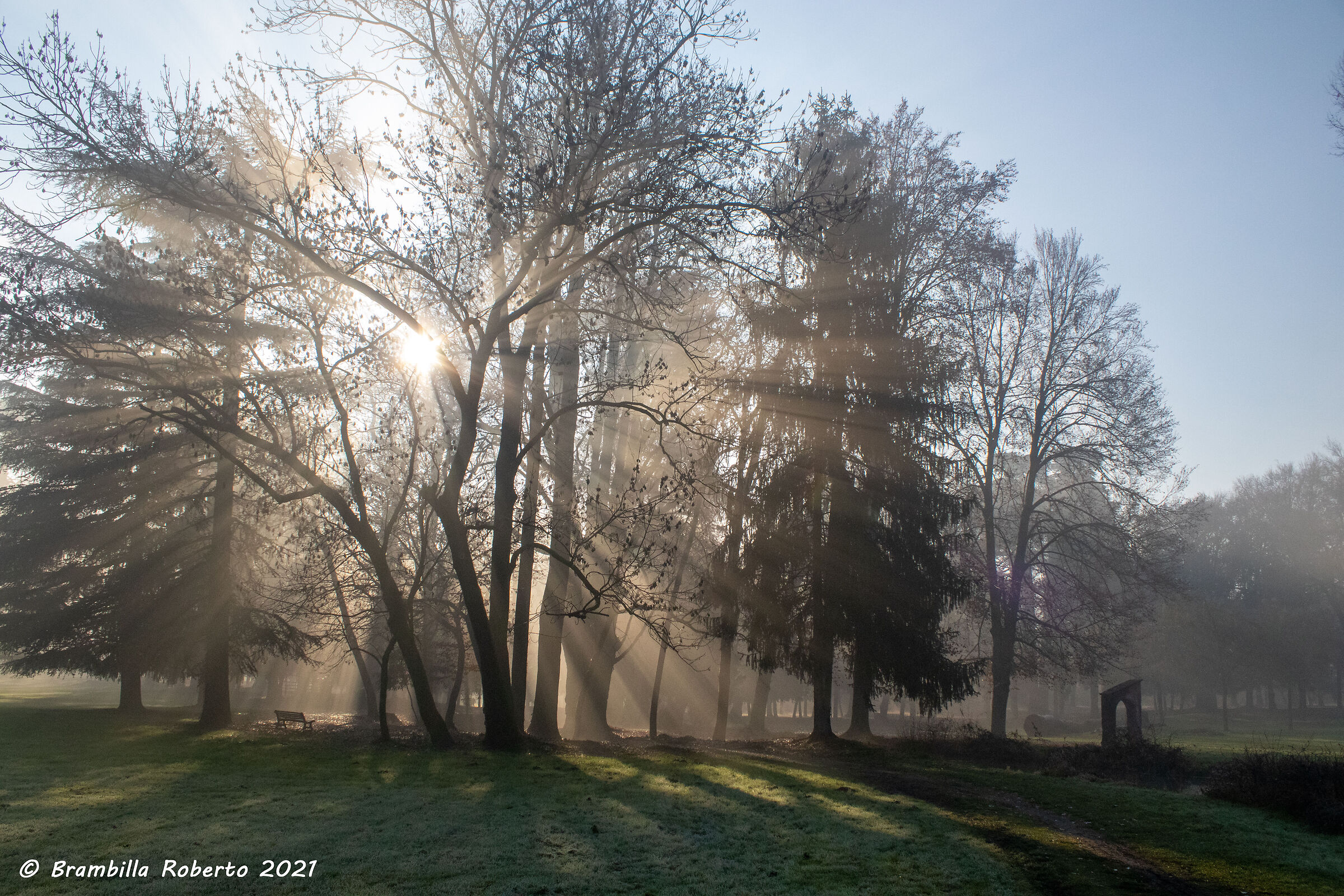 The light bursts