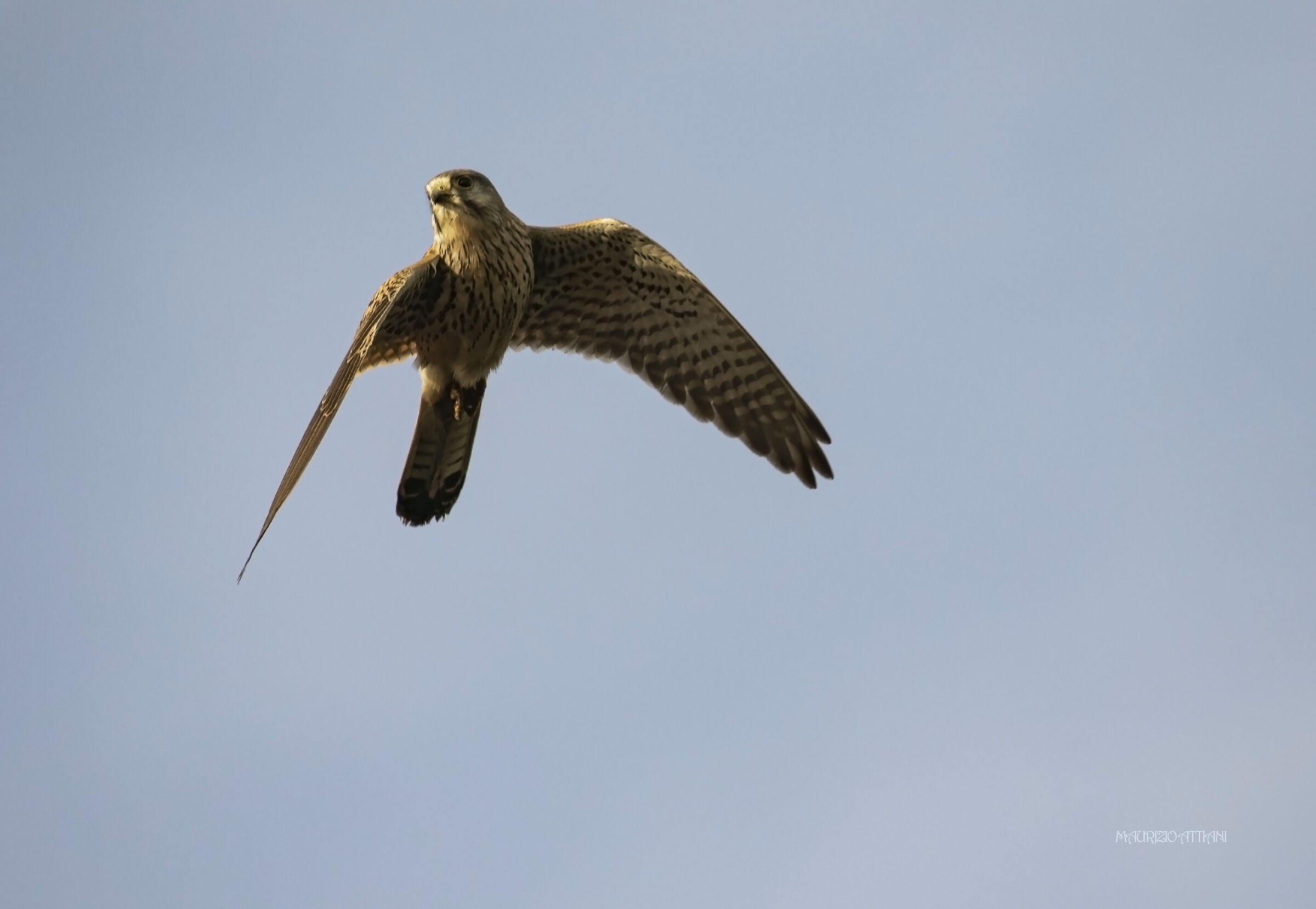 I was faster myself .....