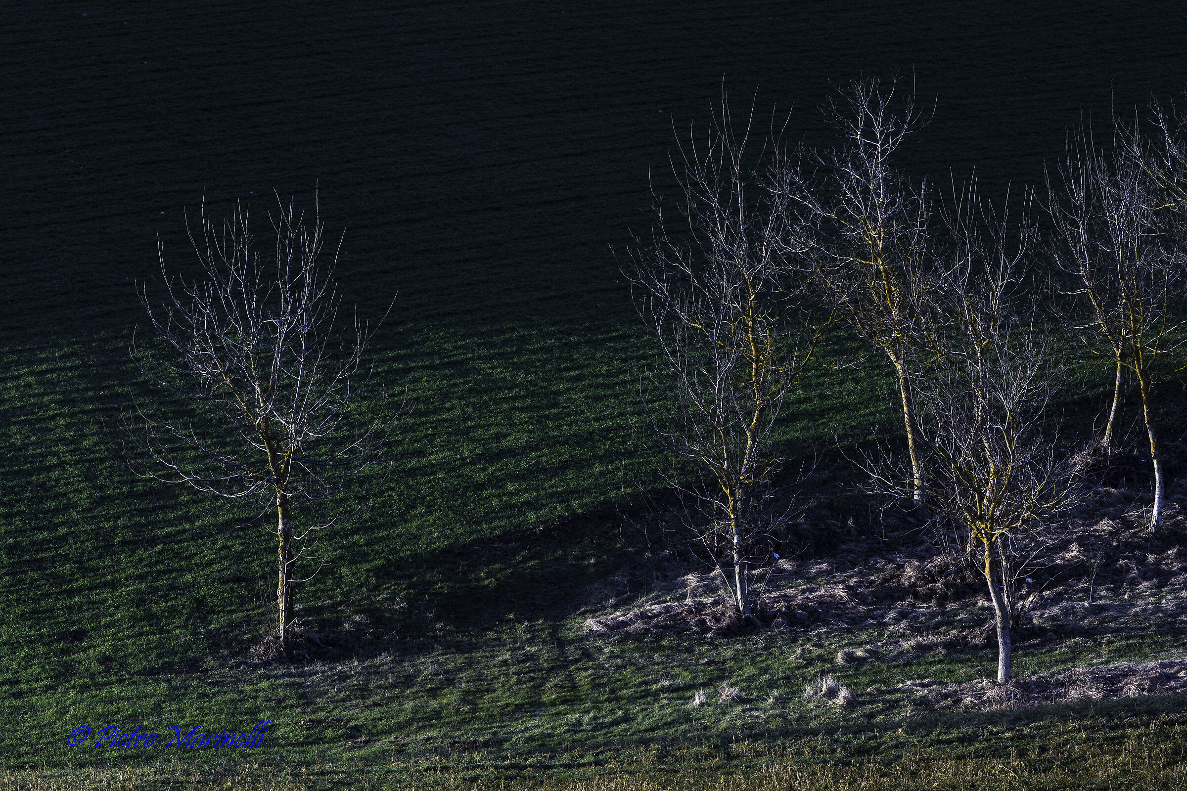 ...... last sun and after the snow