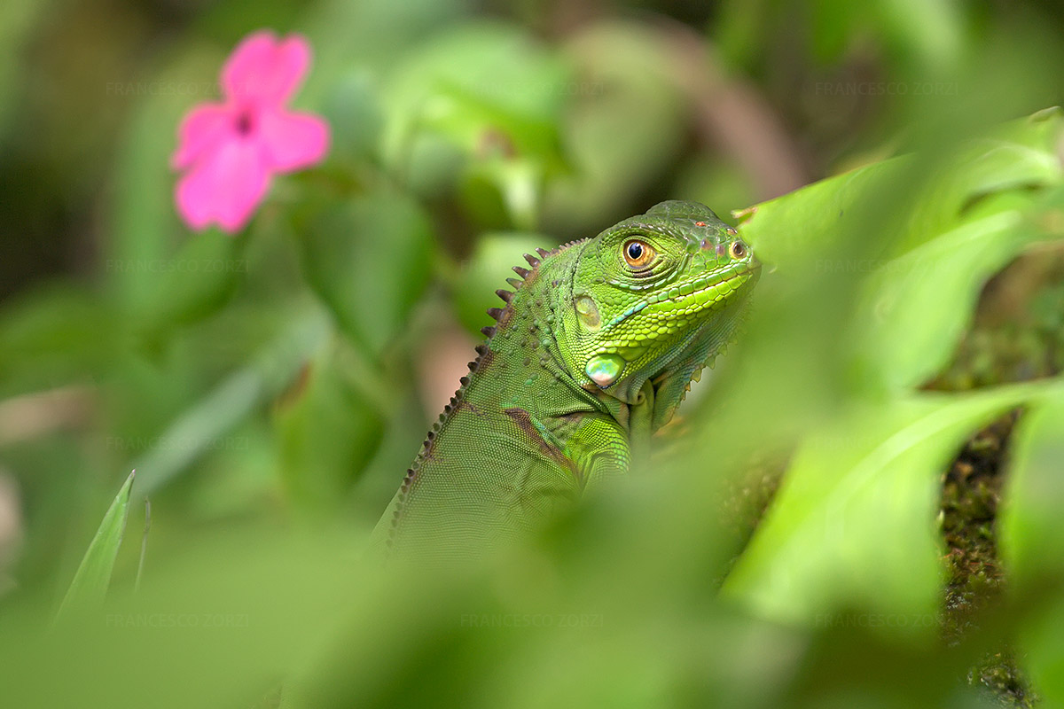 Playing hide and seek