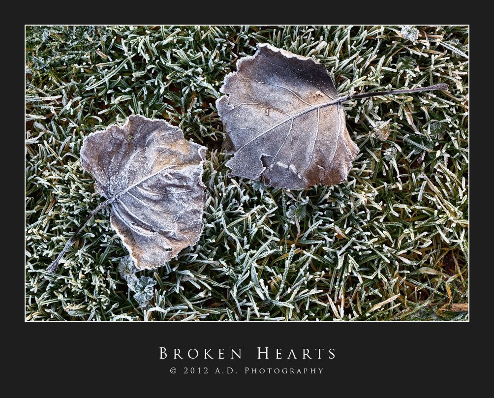 Broken Hearts