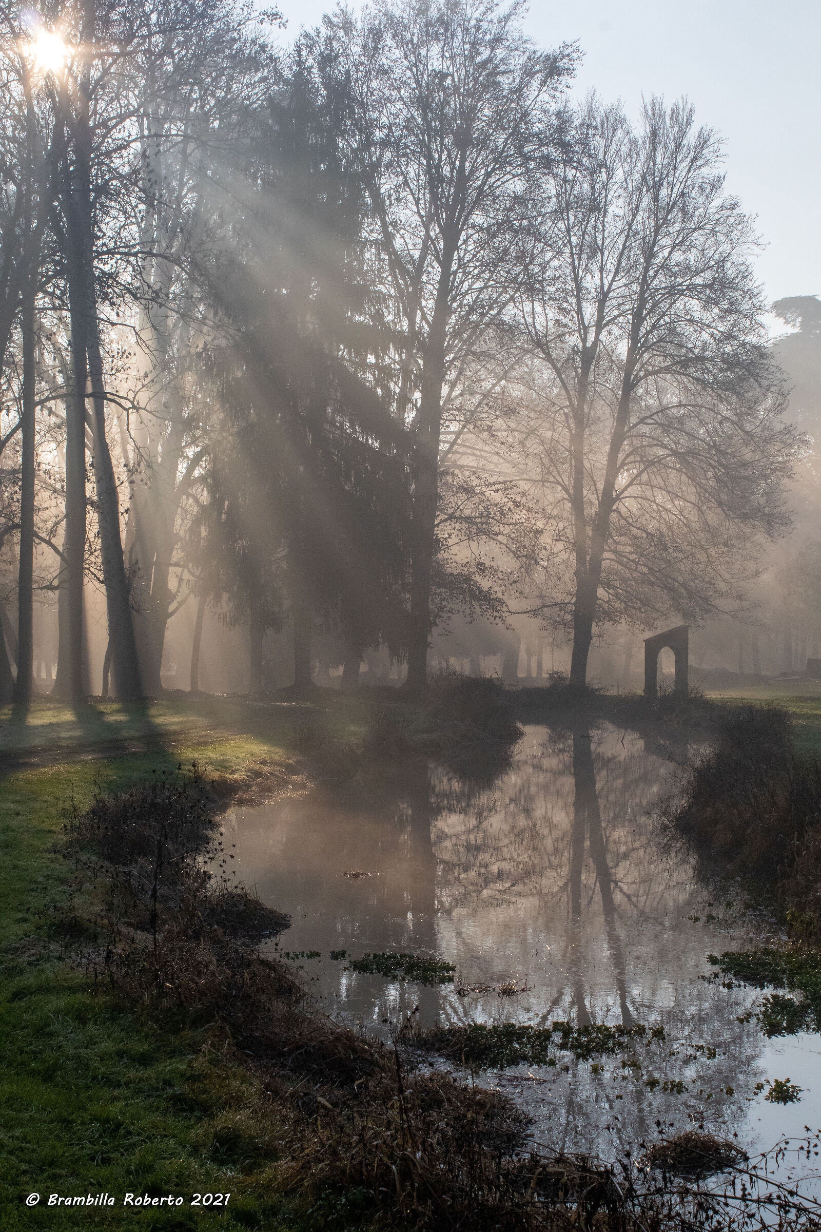 Suggestions of light