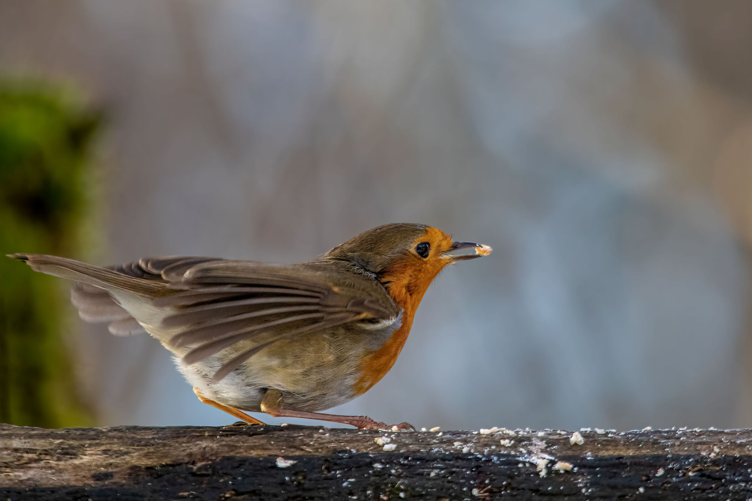 happy new year at all