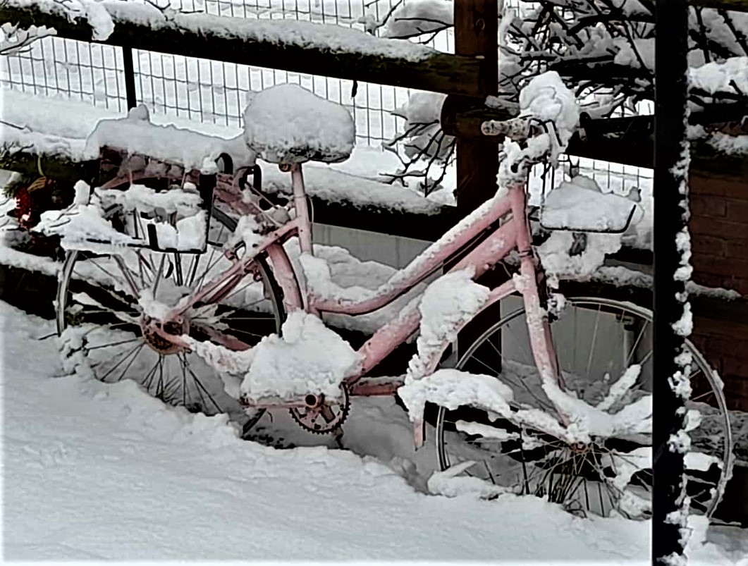 nevicata del 02.01.2021