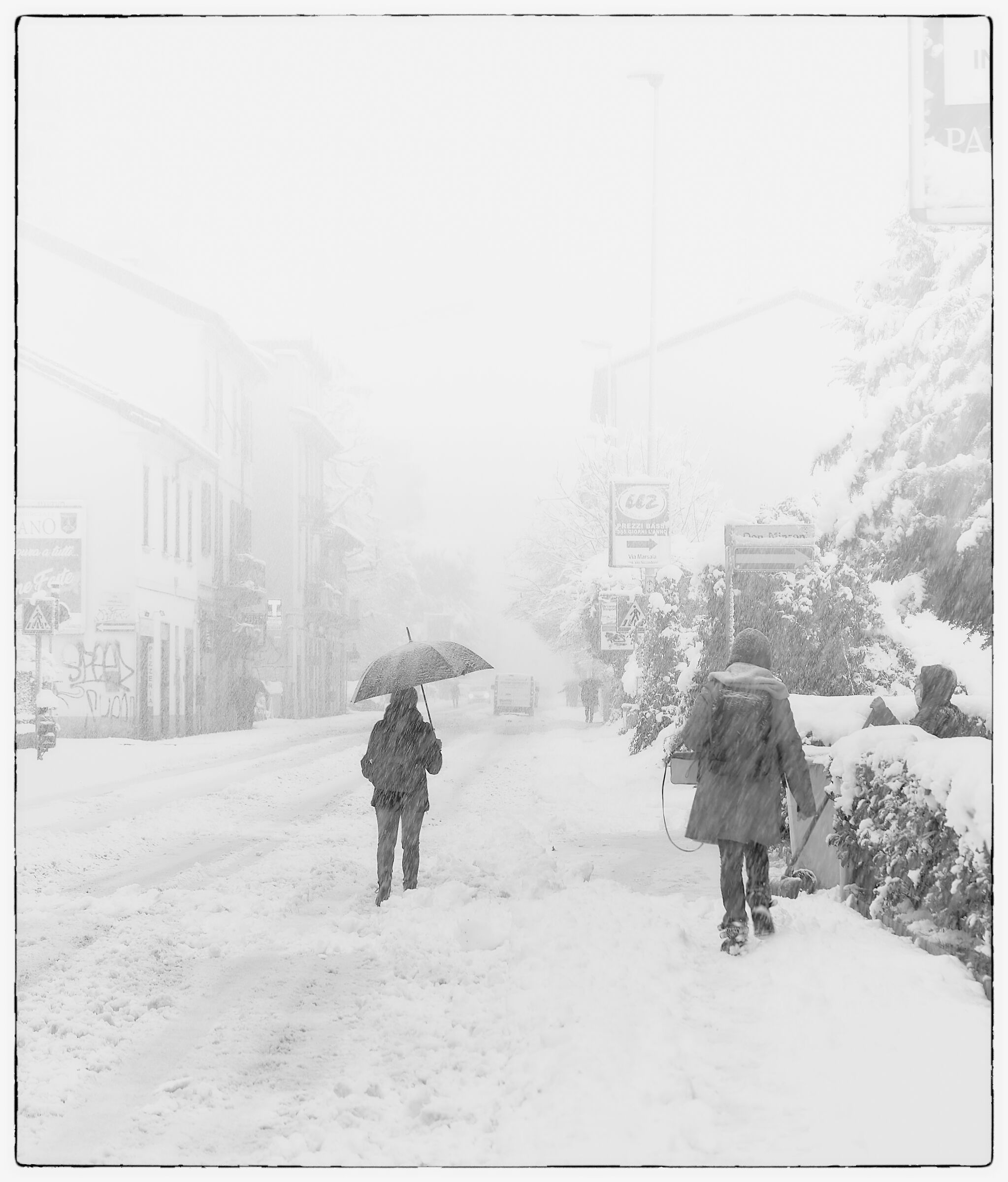 Nevicata dicembre 2020