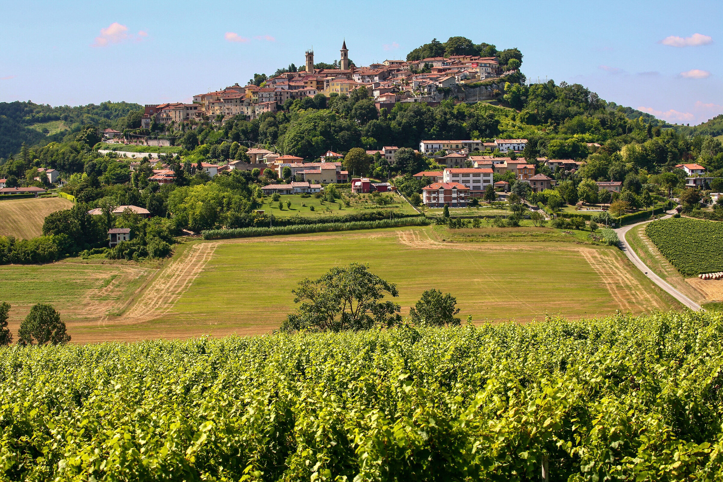 Rosignano Monferrato