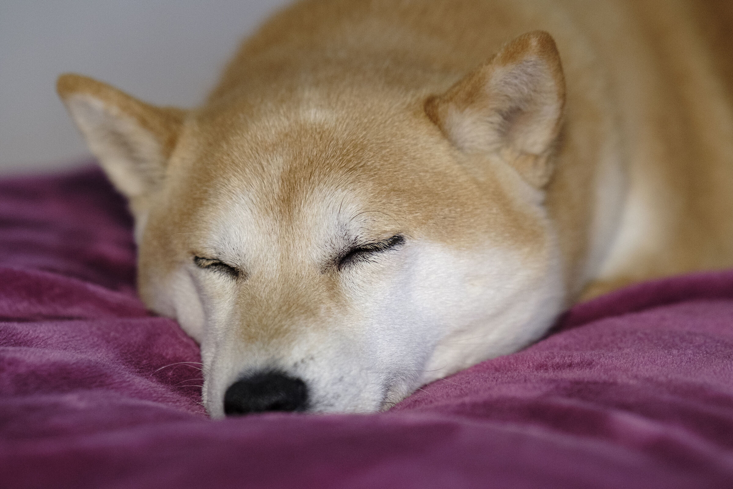 Come è bello l'ozio !!??